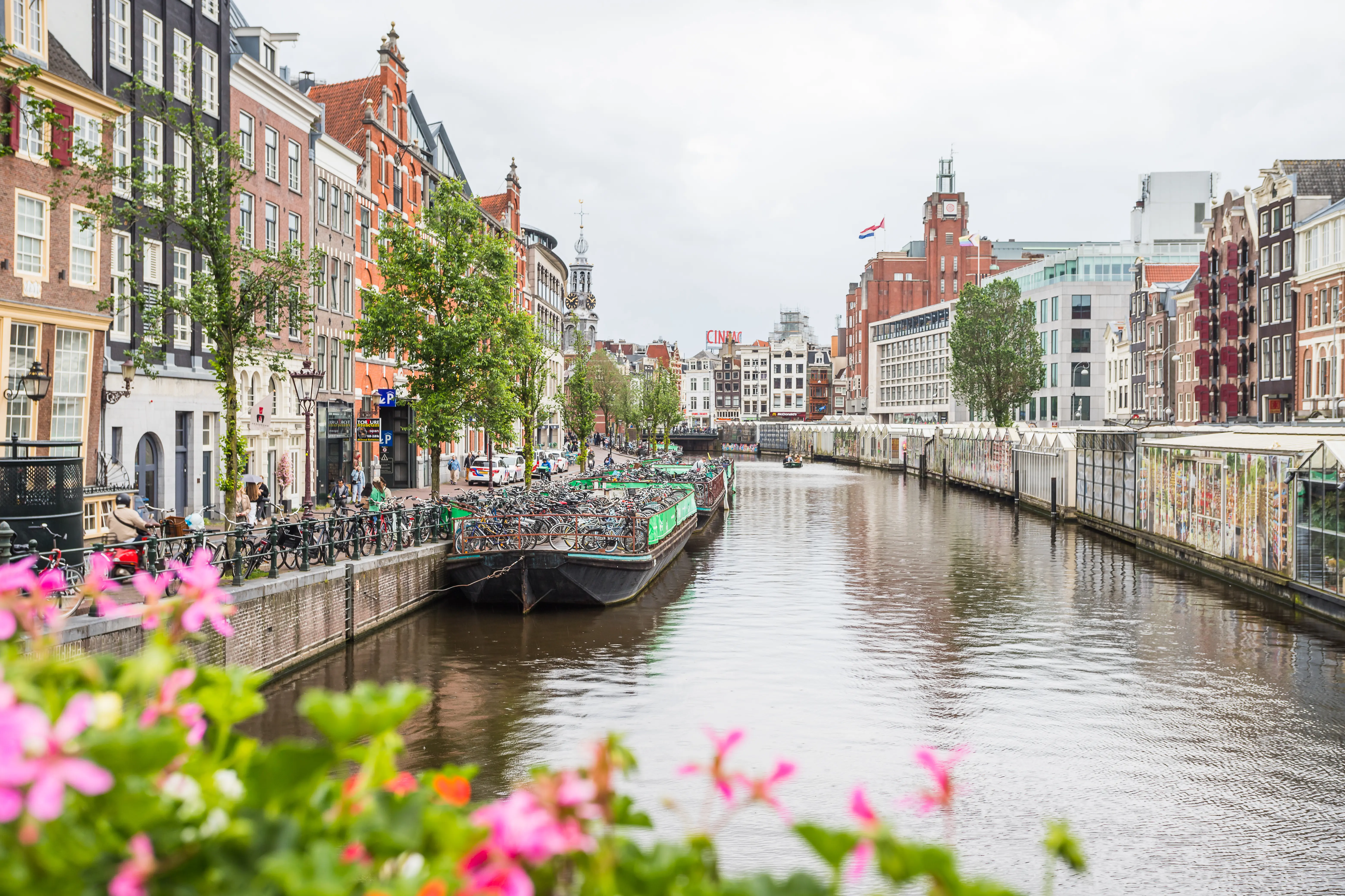 Image of the Bloemenmarkt on the Singel Canal.