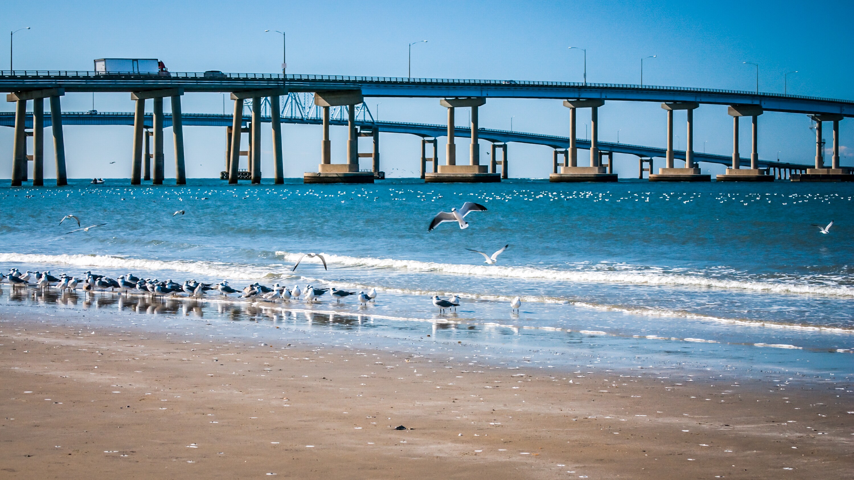 Chesapeake Bay Scenic Bridge-Tunnel Road Trip