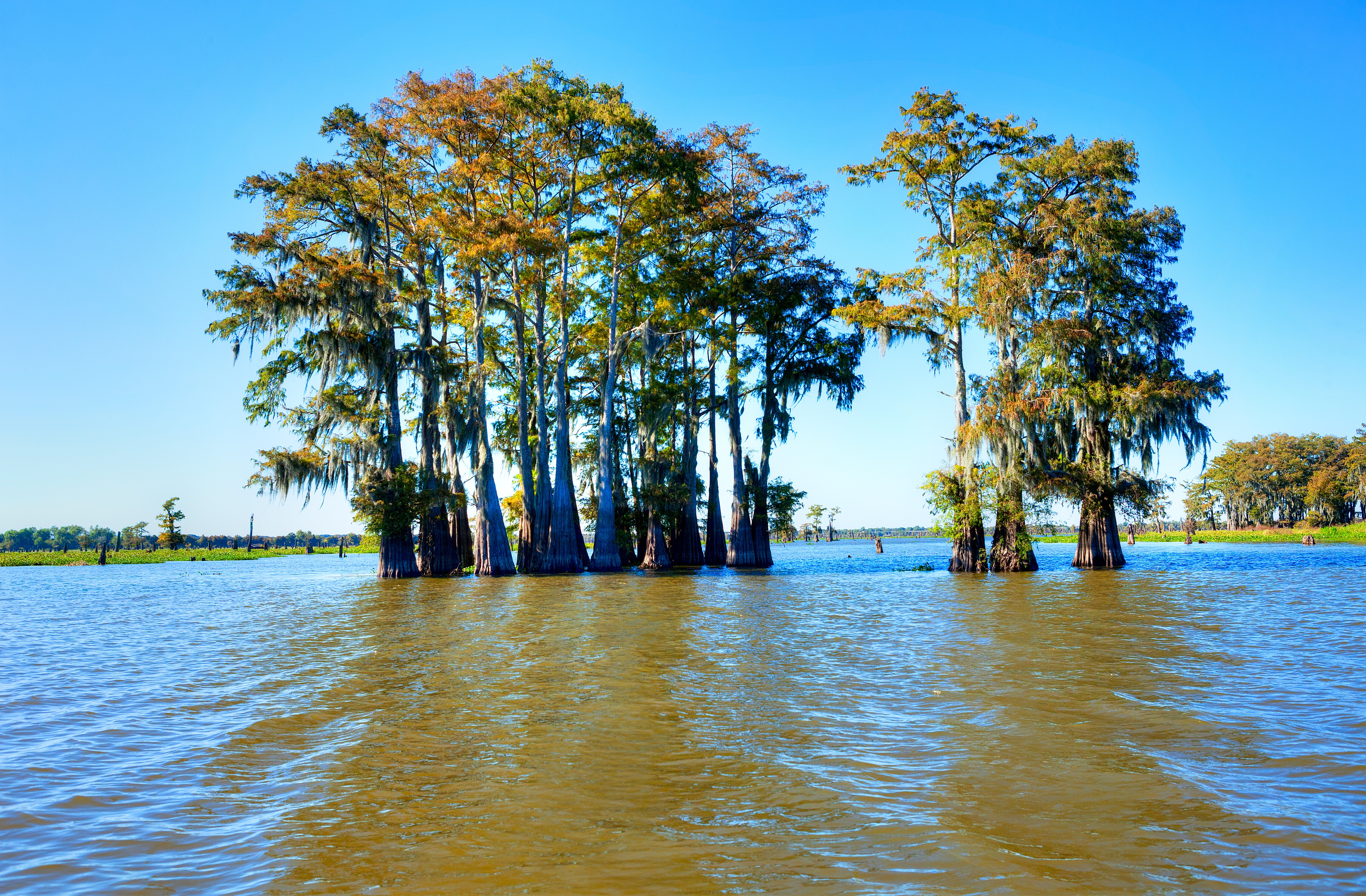 Atchafalaya Basin Scenic Freeway Road Trip