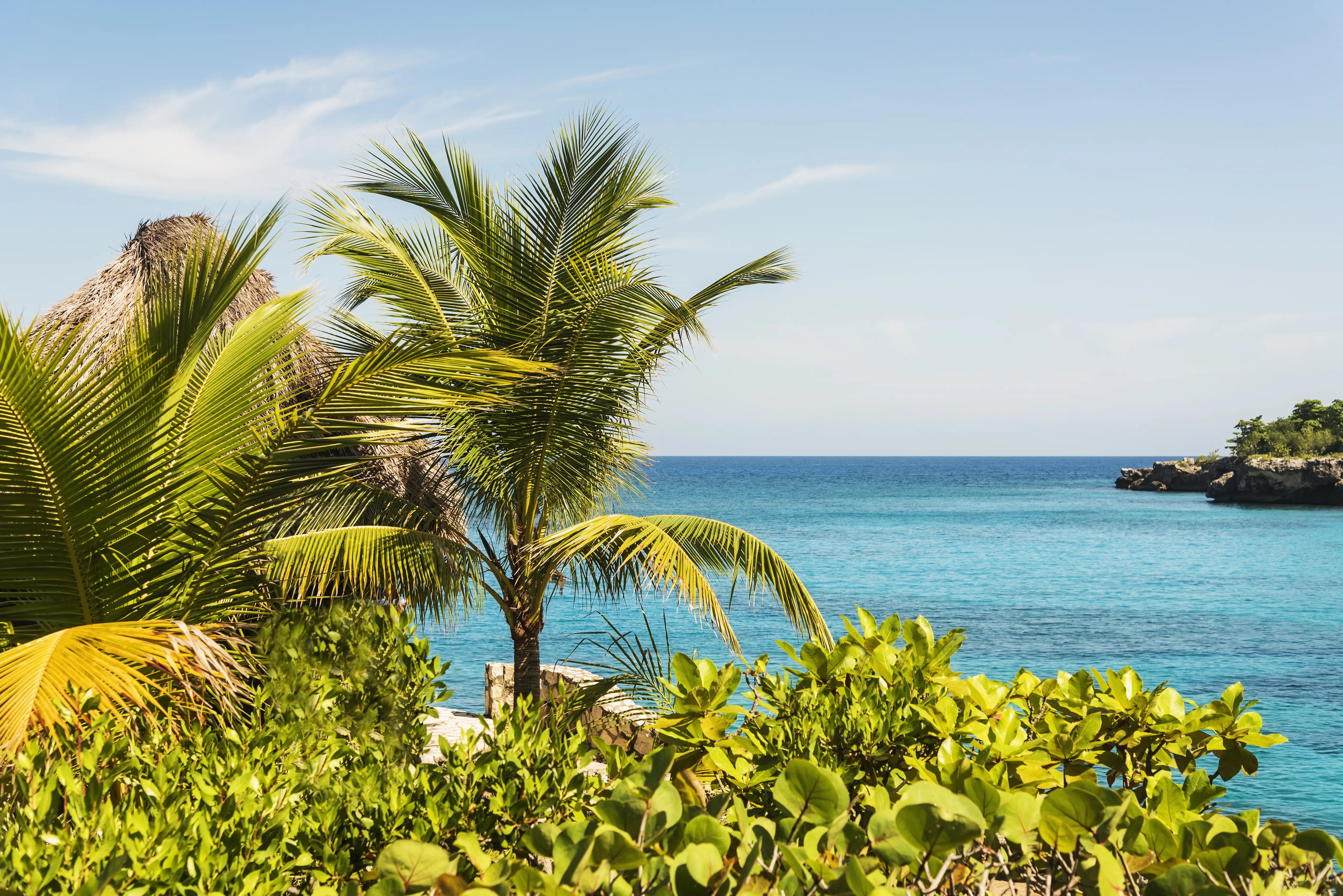 Image of the beach and trees of Negril, Jamaica.