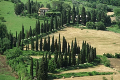 Country Roads Of Italy