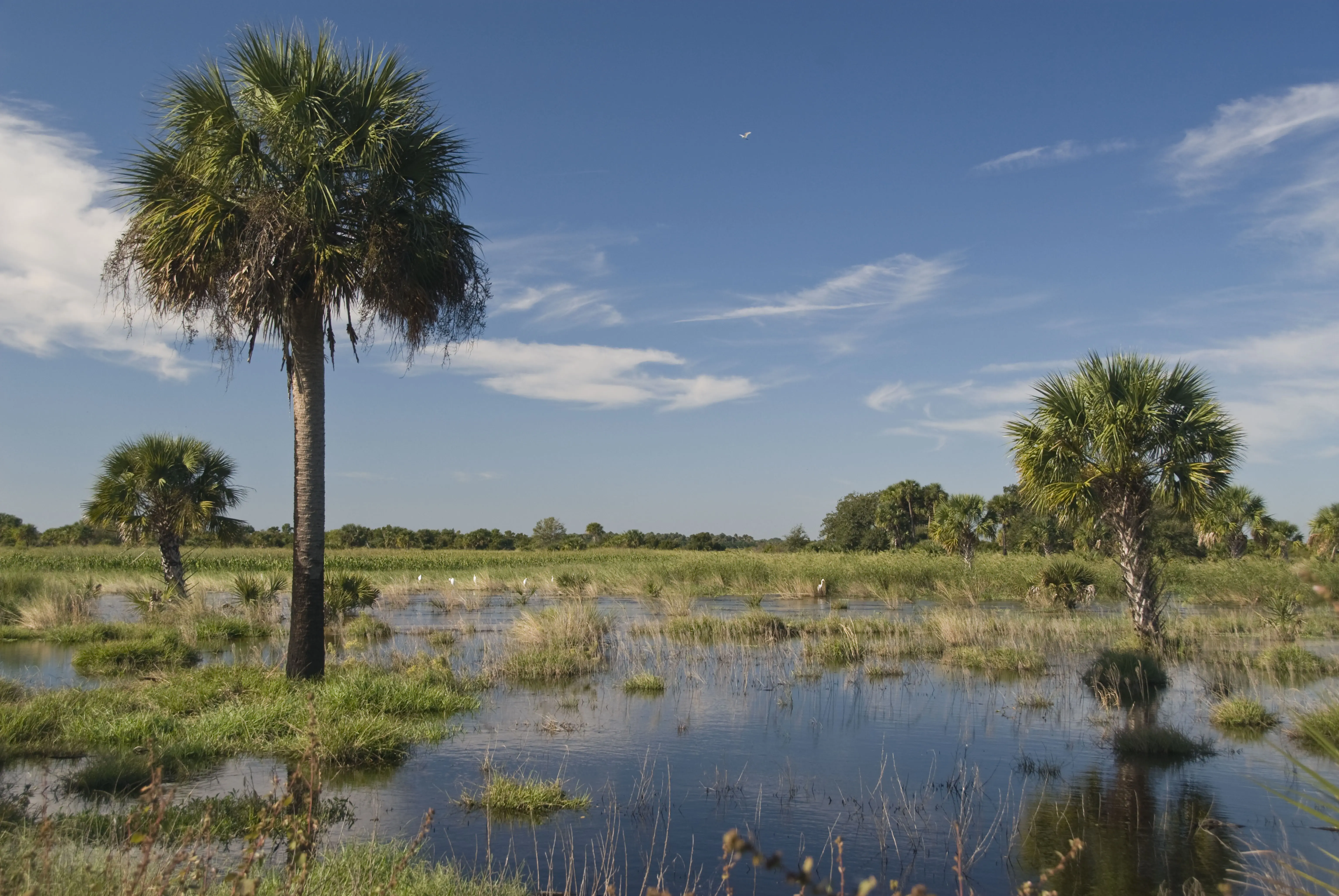 Outdoor picture of a body of water in Florida