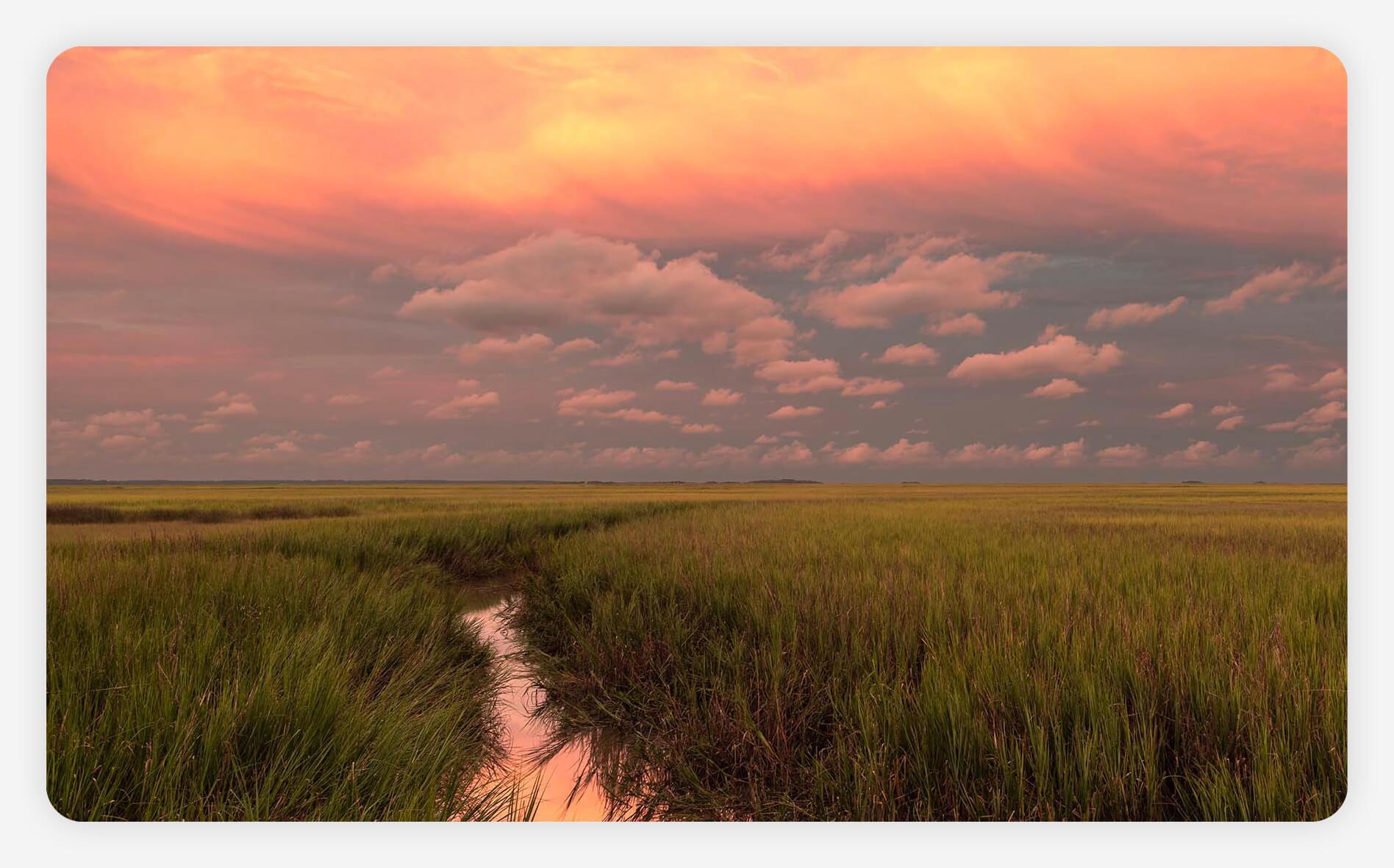 Coastal landscape in Georgia at sunset