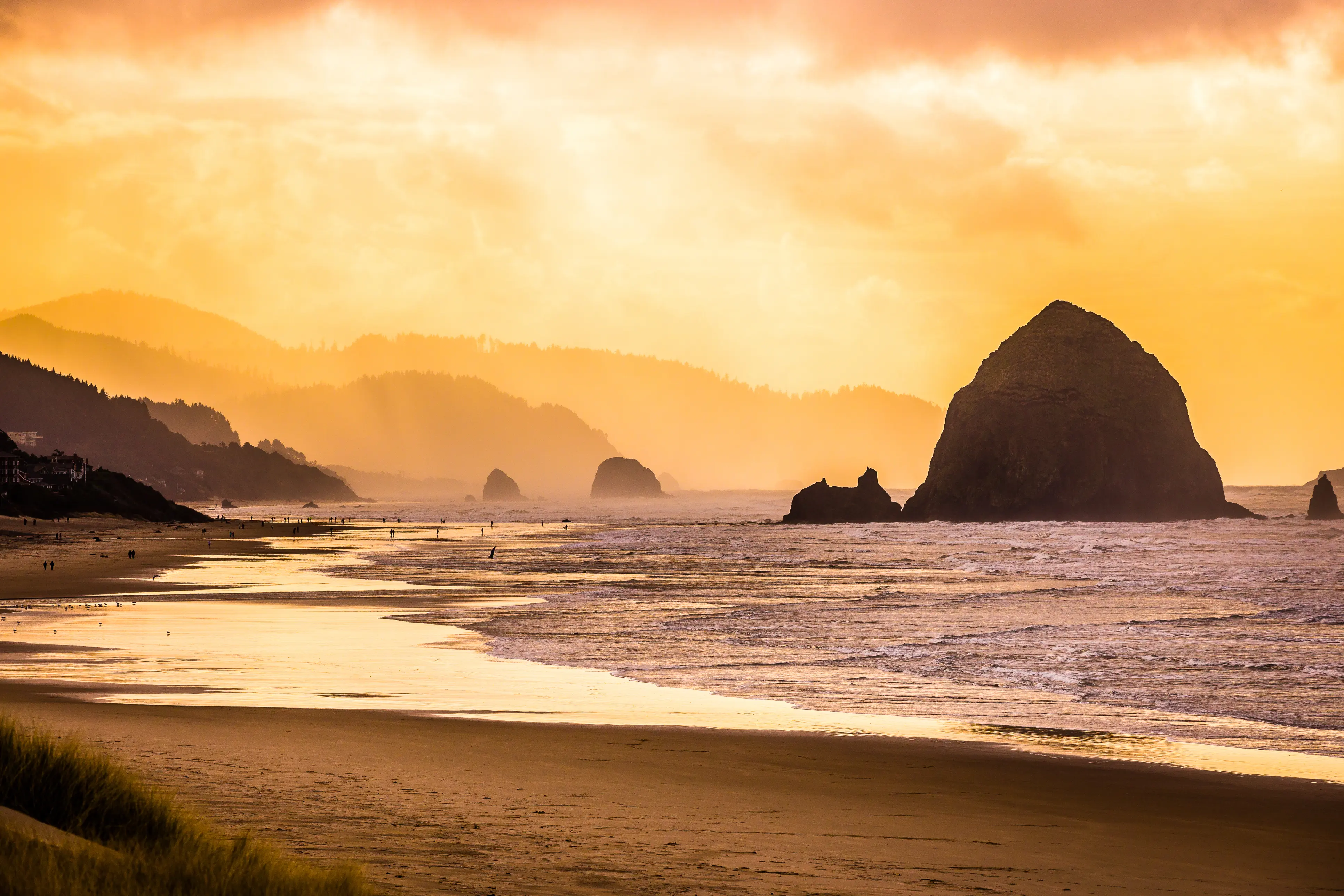 beach, beach town, United States