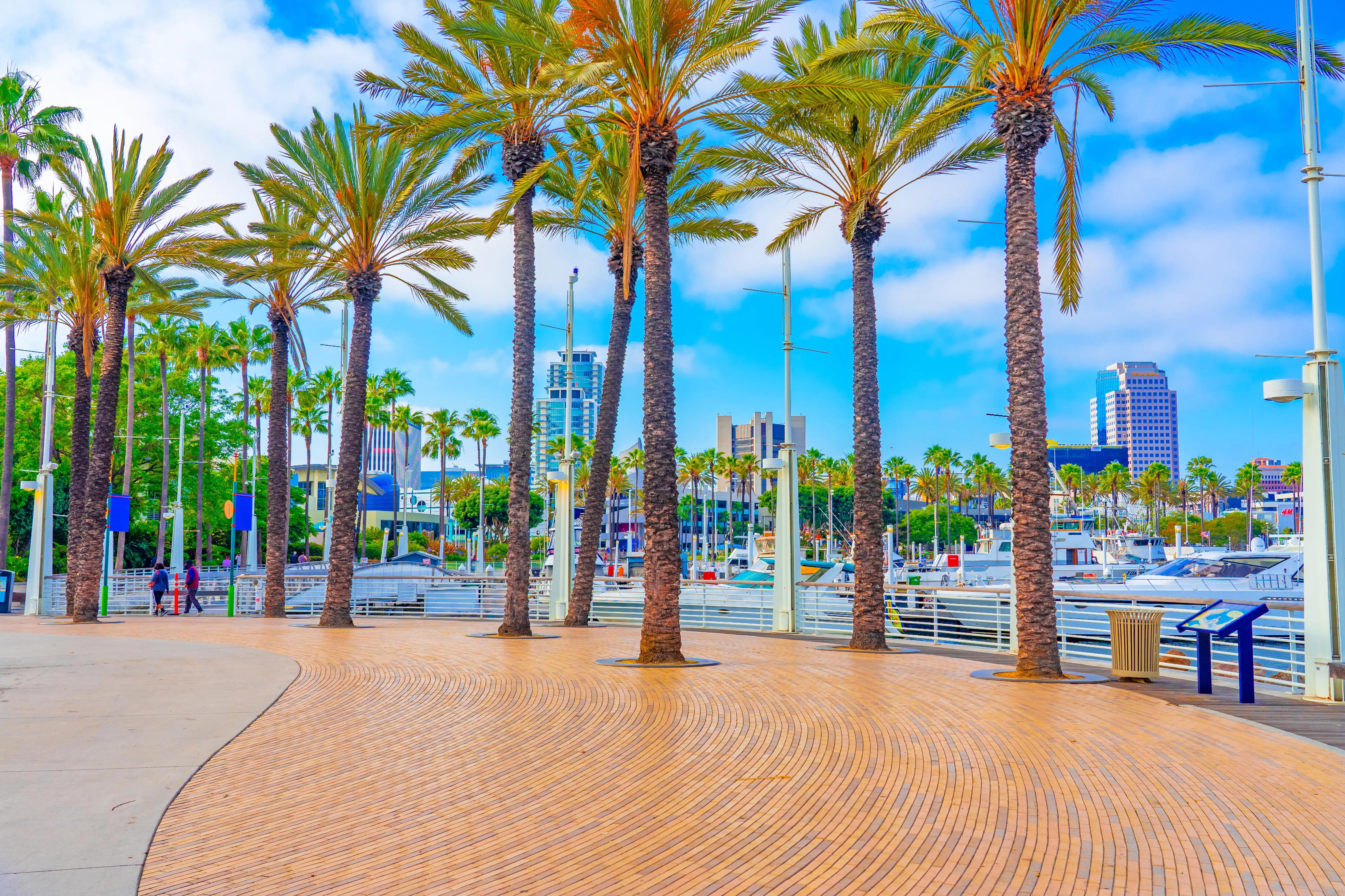 Shoreline walkway with palm trees and the skyline of Long Beach