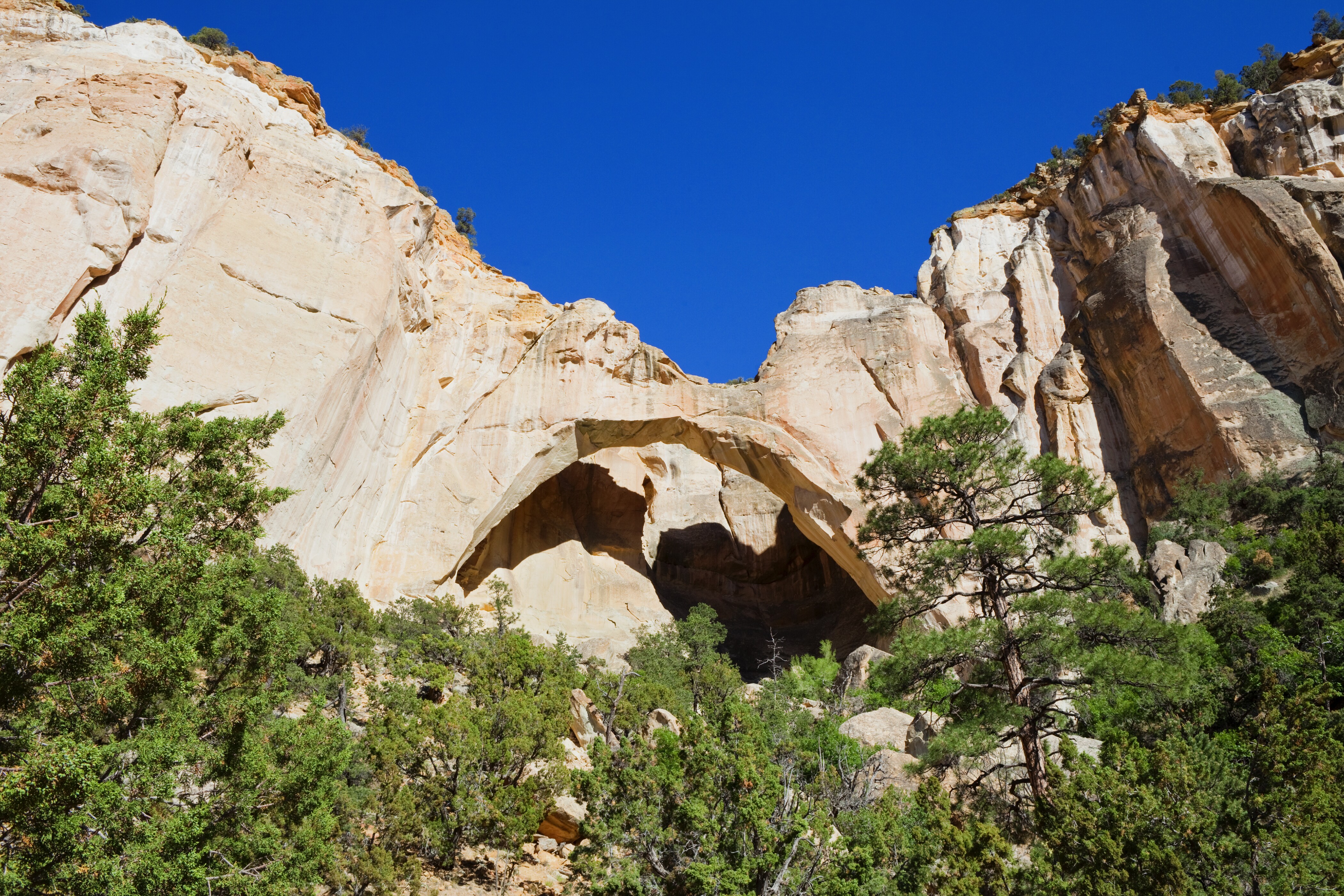 El Malpais National Monument and Conservation Area Scenic Highway Road Trip