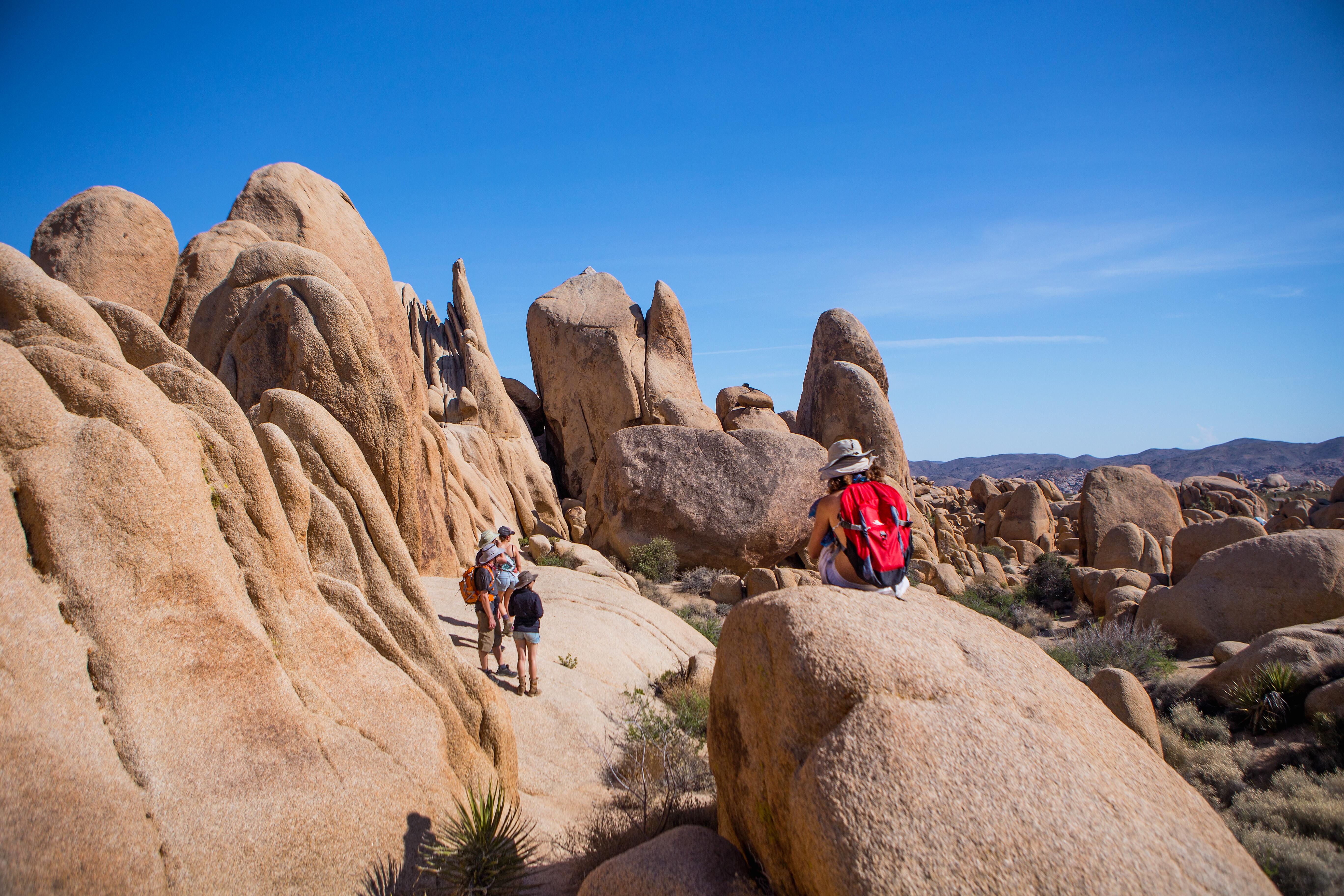 Hikers taking in the view of rock formations at Joshua Tree National Park