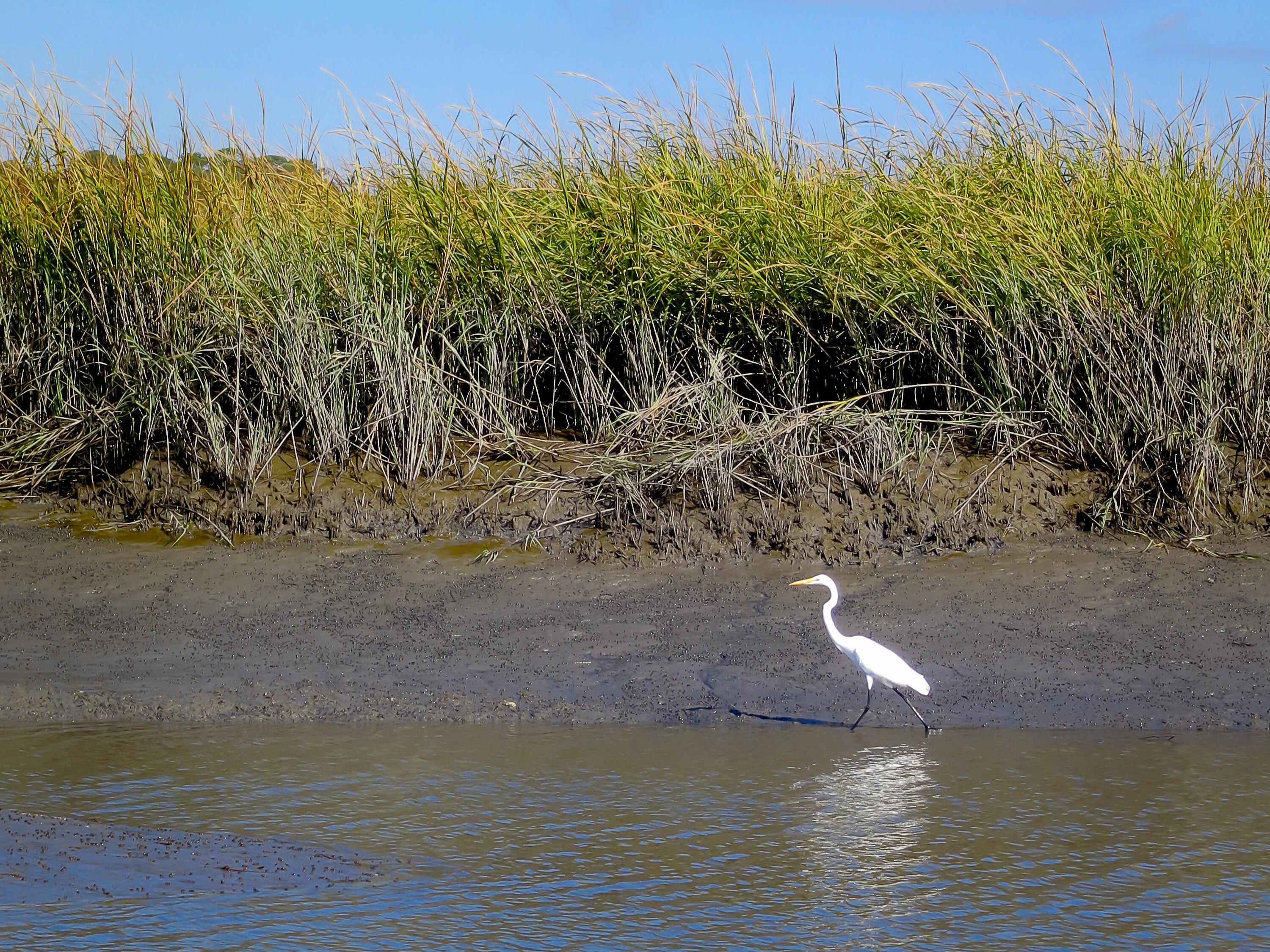 Edisto Island National Scenic Byway Road Trip