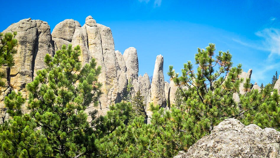 The Needles Scenic Highway Road Trip