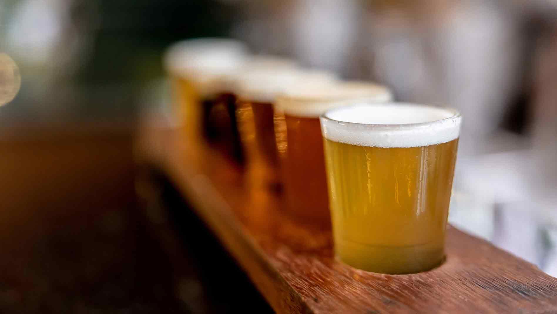 Sampling tray of beers from a brewery tour in Boston.