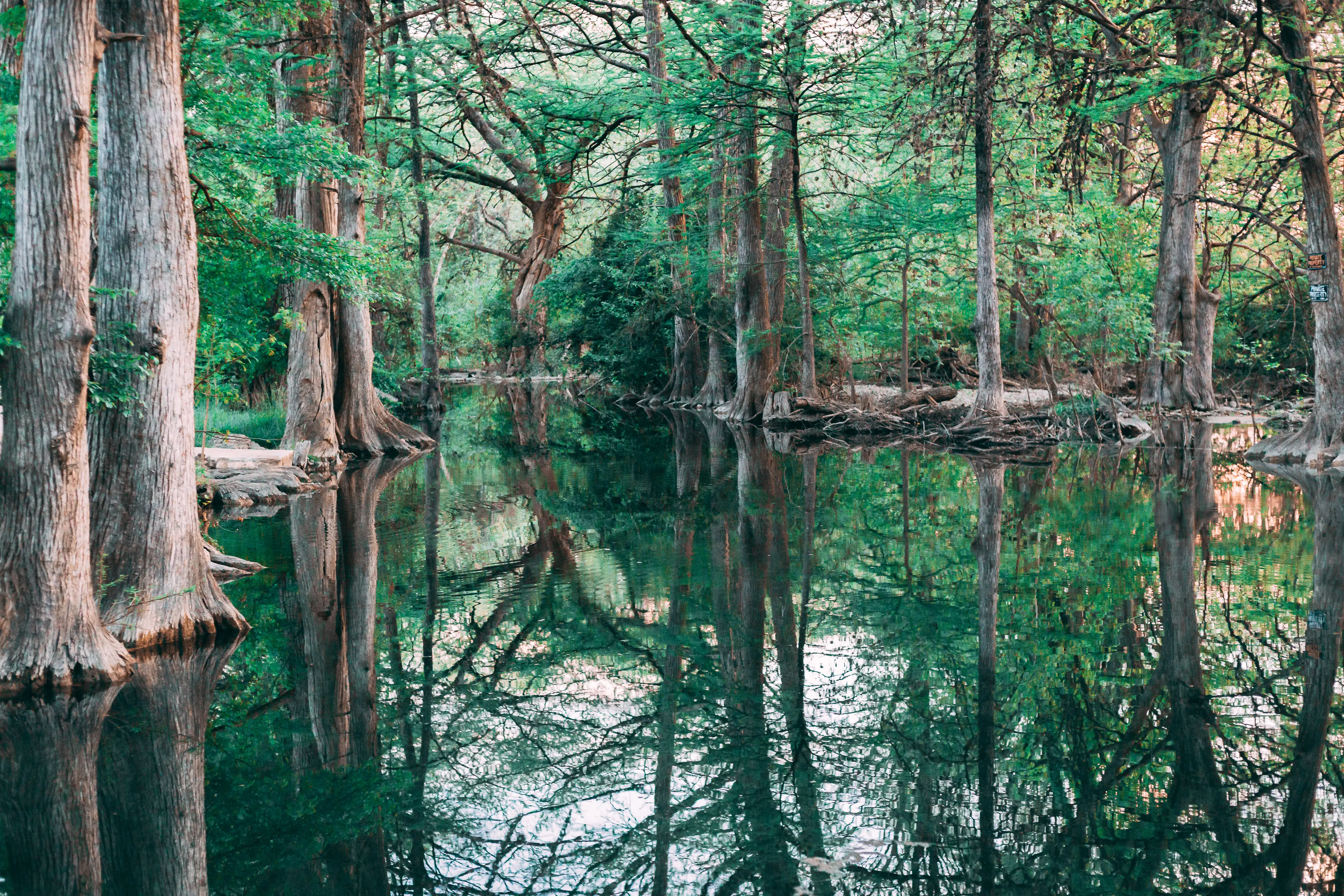 Image of Blue Hole Regional Park in Wimberley, Texas.