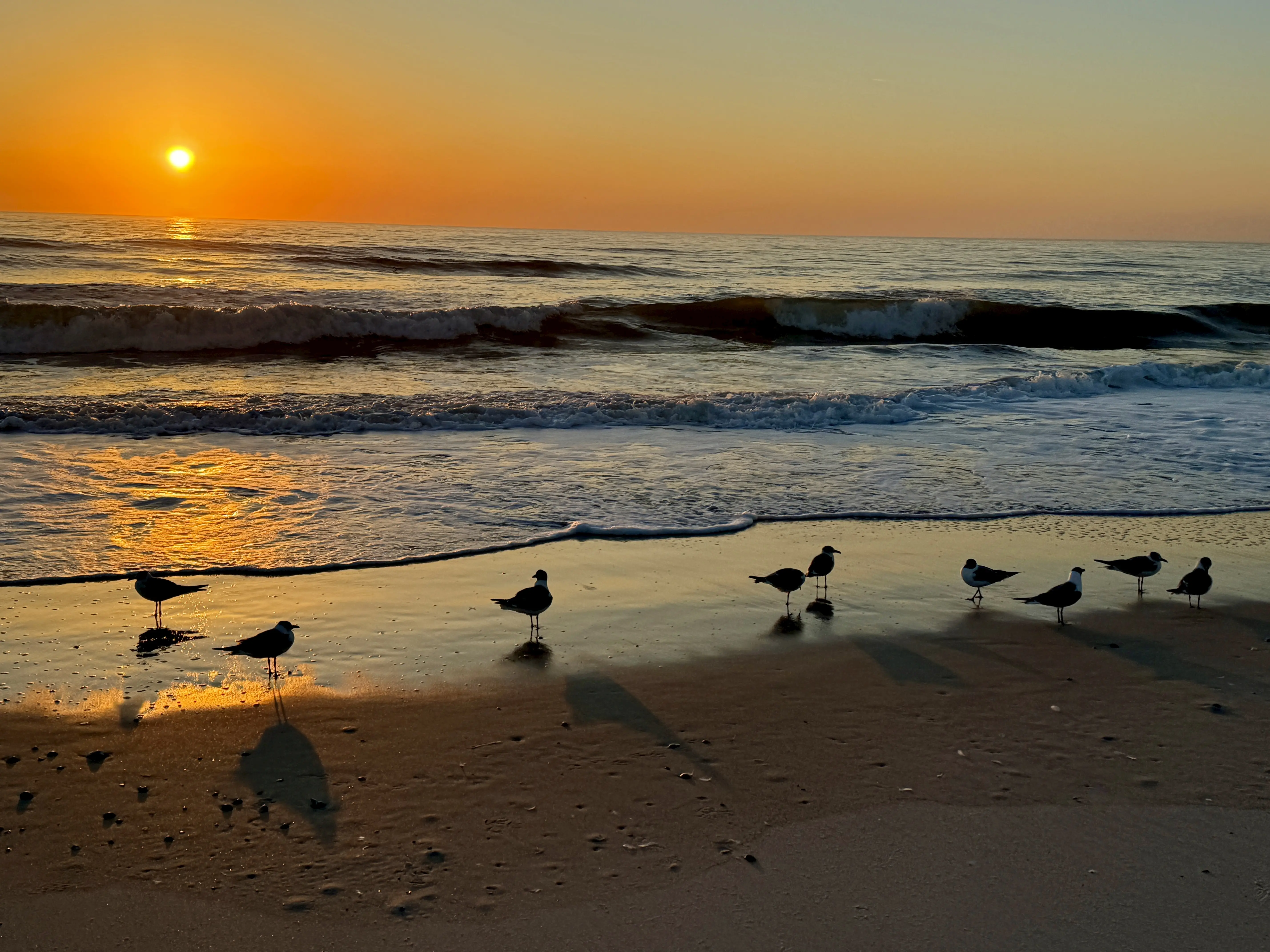 Image of Jacksonville beach at sunset.