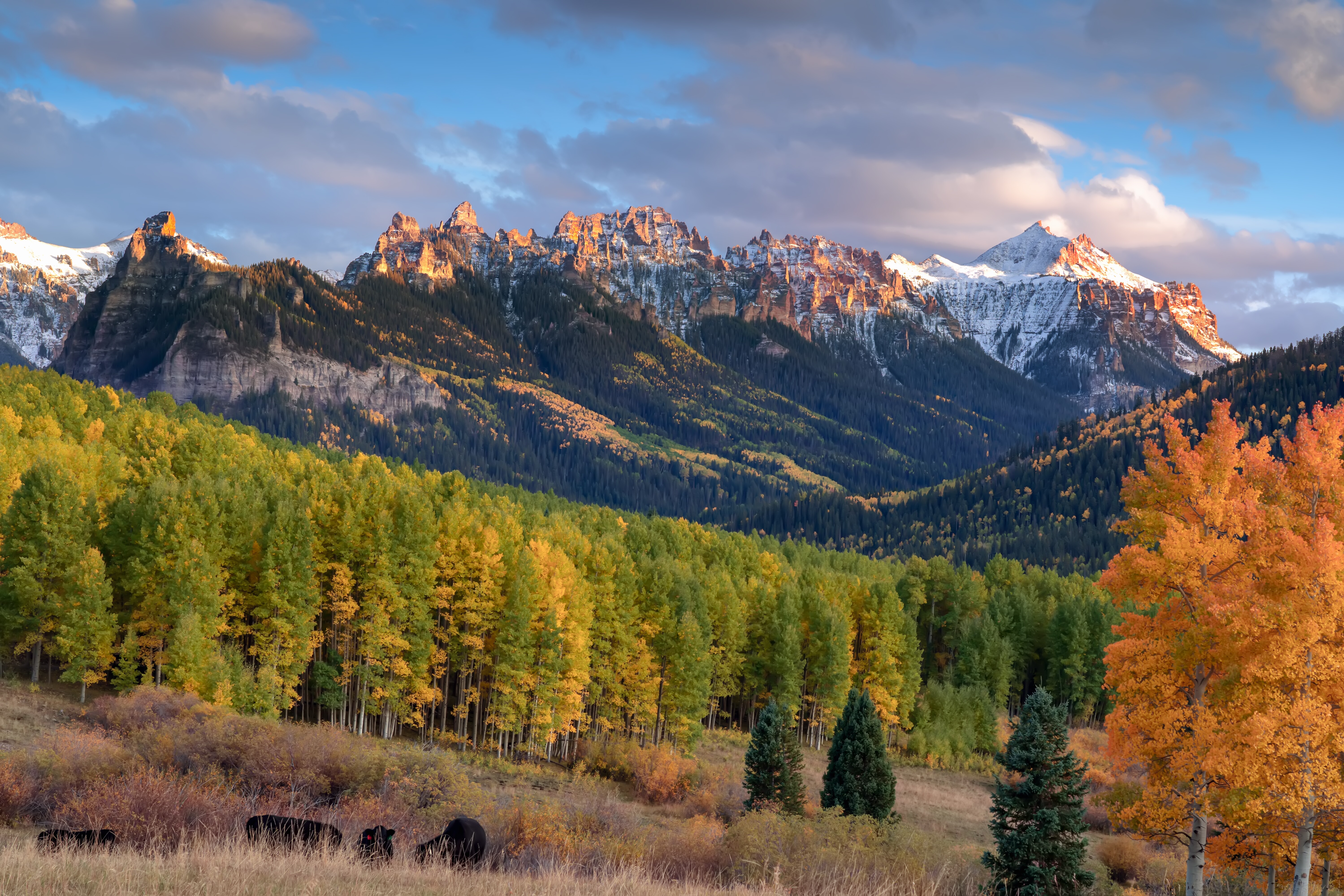 Scenic image of the mountain view of Kebler Pass, in fall.