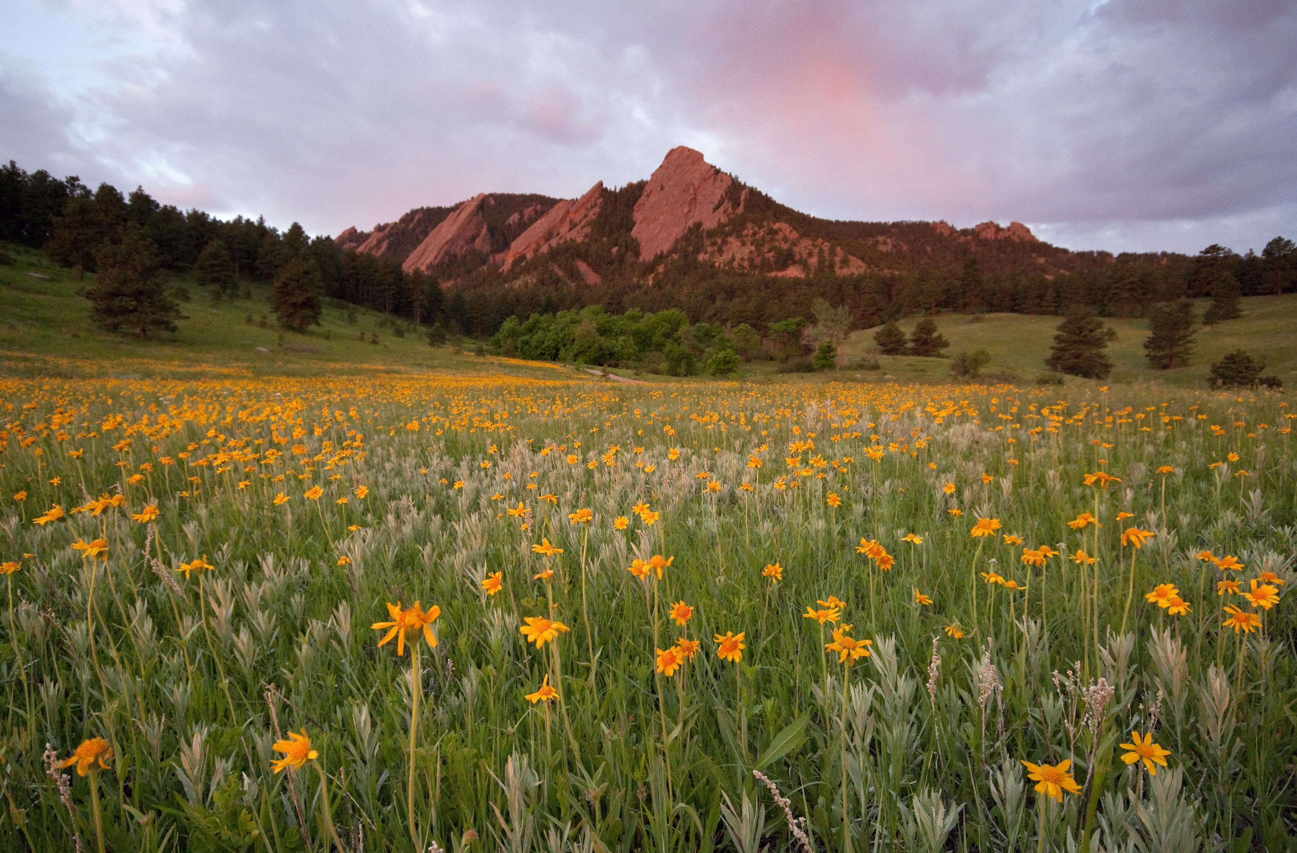 Outdoor photo of Chautauqua Park, mountains visible in distance.