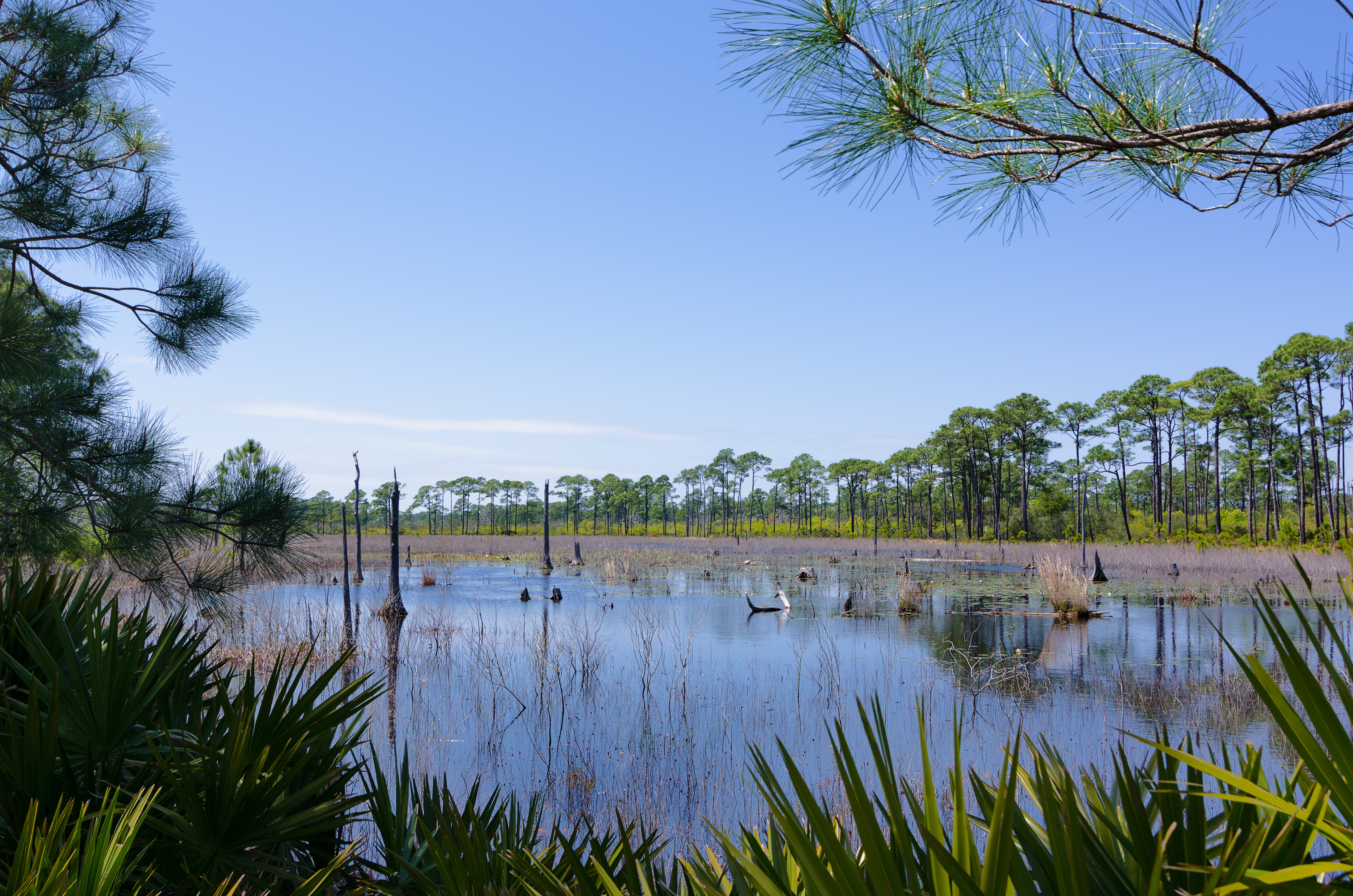 Alabama's Coastal Connection National Scenic Byway Road Trip