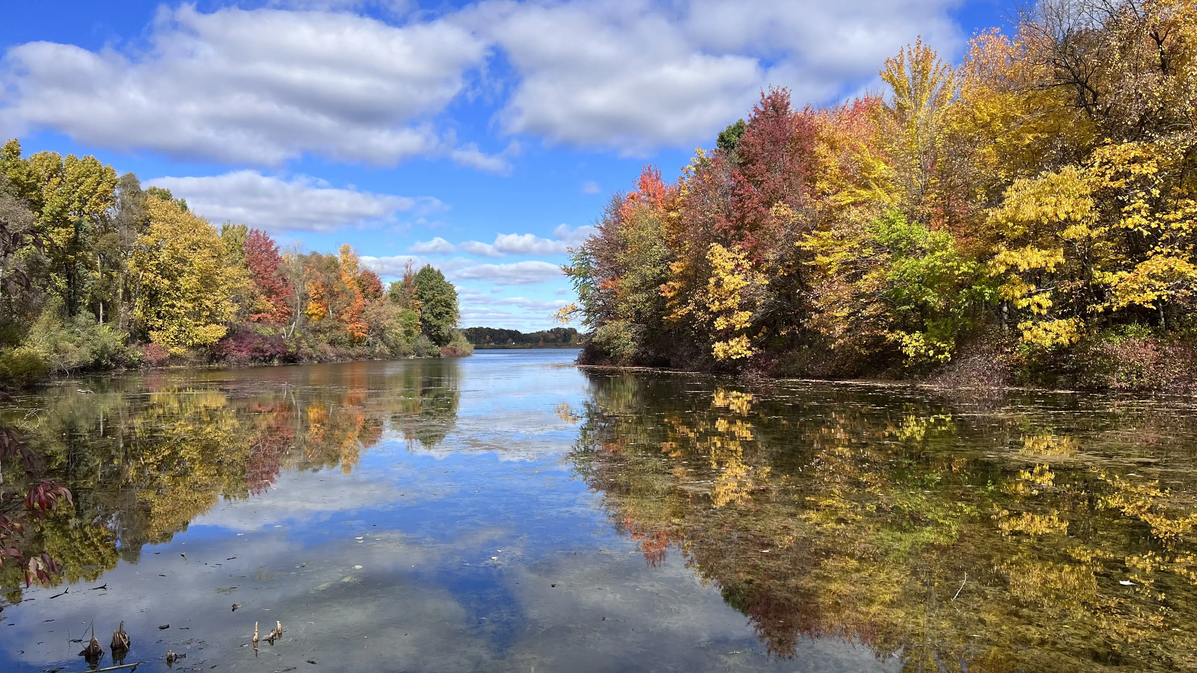 Image of a scenic Fall view at a lake in Michigan.