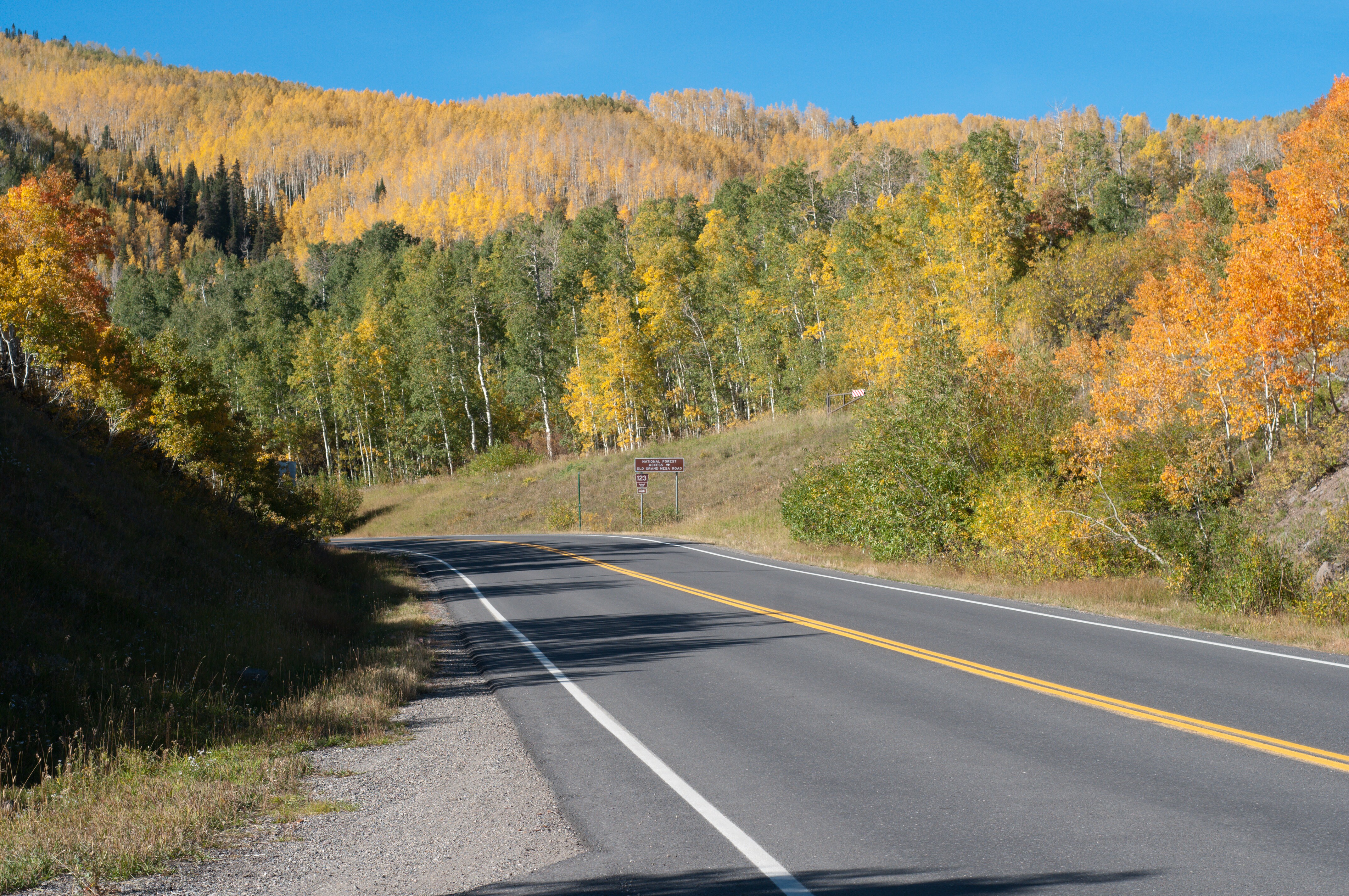 Grand Mesa National Scenic Byway Road Trip
