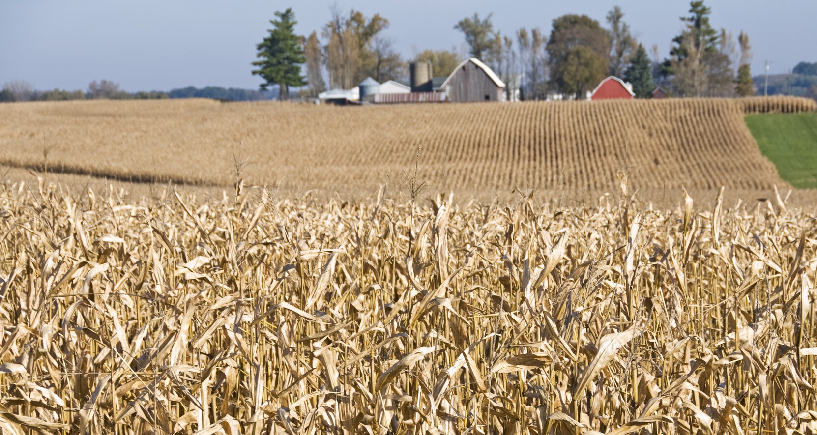 Driftless Area Scenic Byway Road Trip