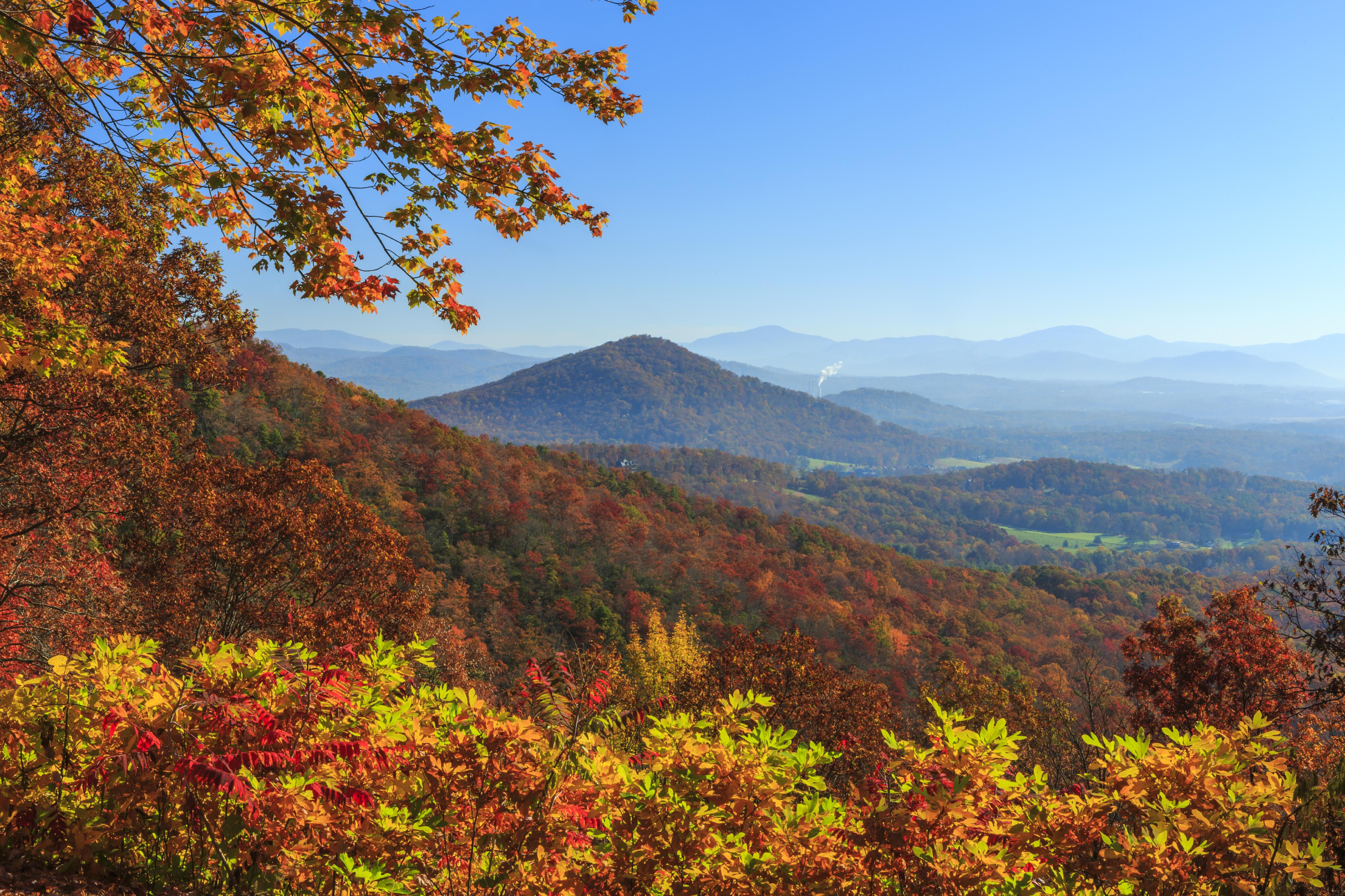 fall, fall foliage, autumn, mountain,