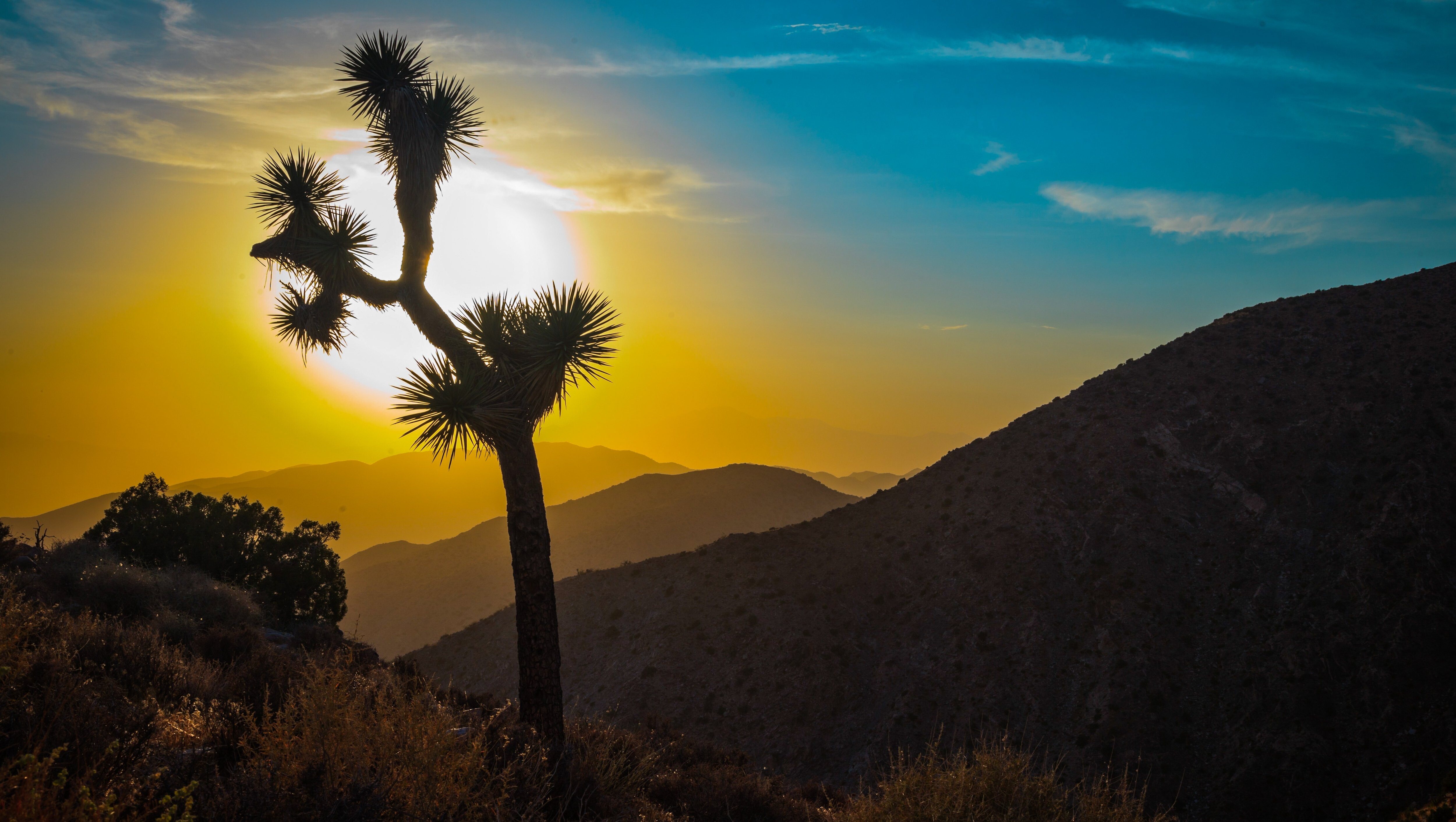 Route 66 - Eastern California Road Trip