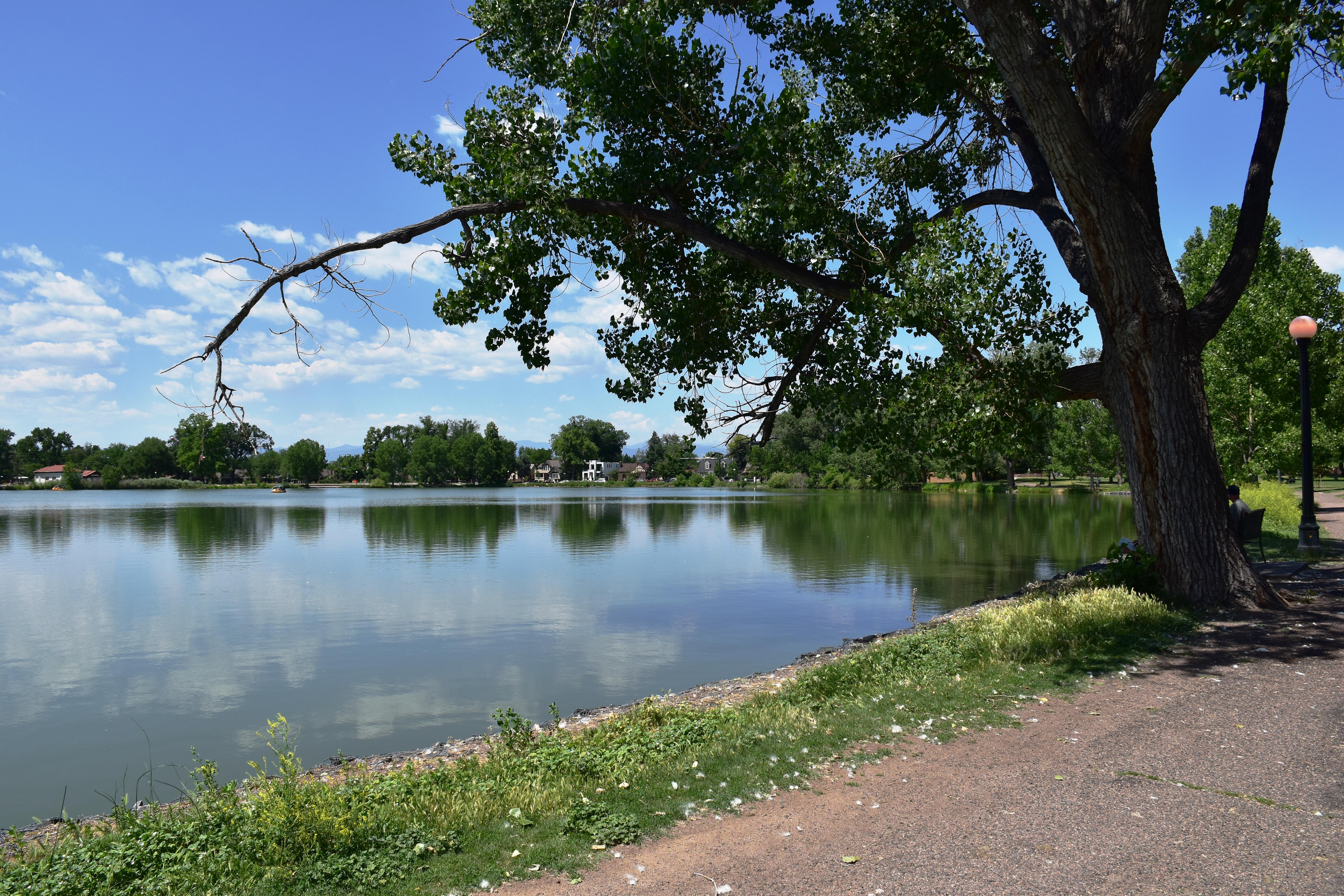 Outdoor photo of the scenery in Sloan's Lake Park.