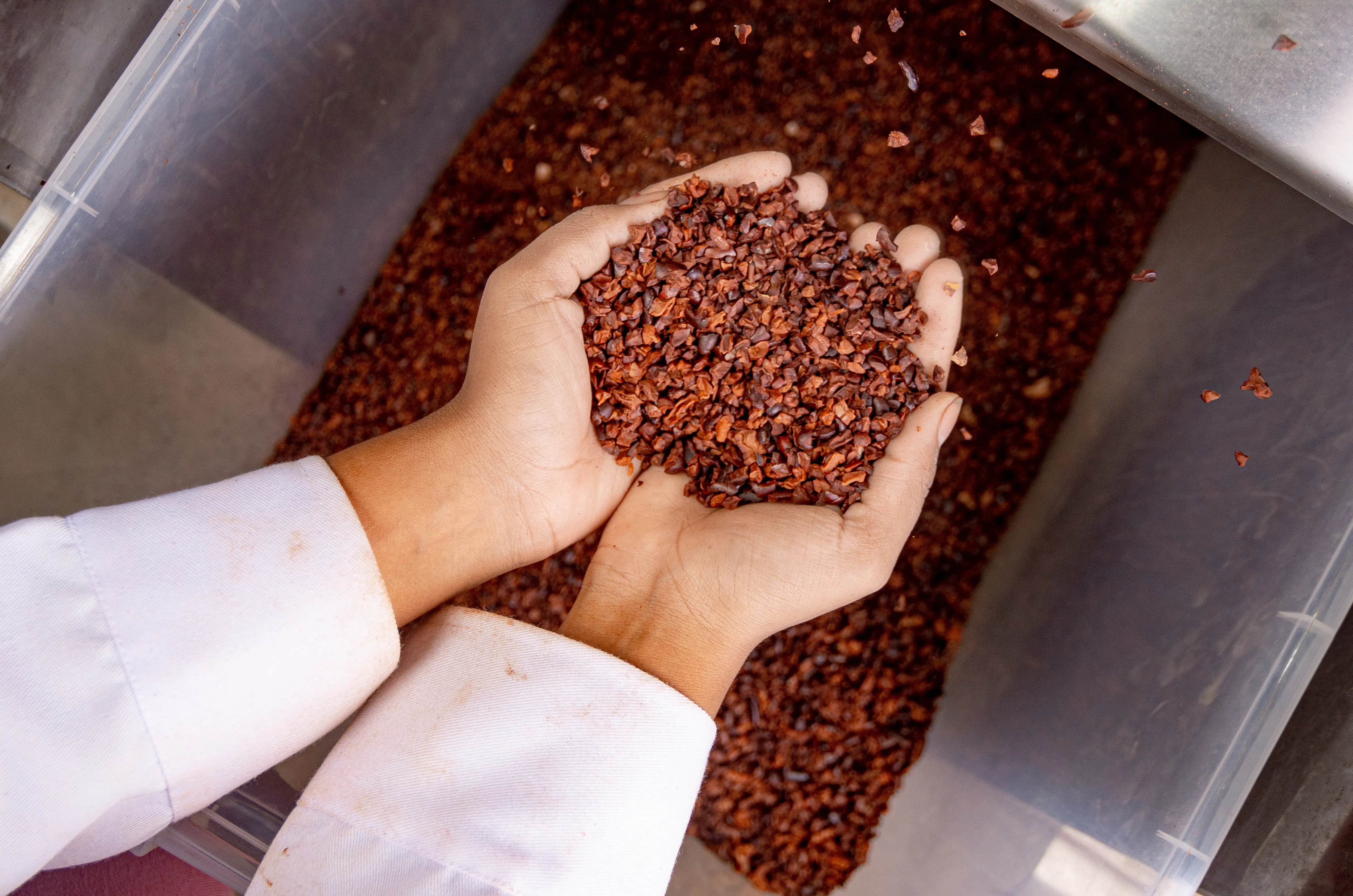 Photo of a Group of friends Chocolate Making in Peru