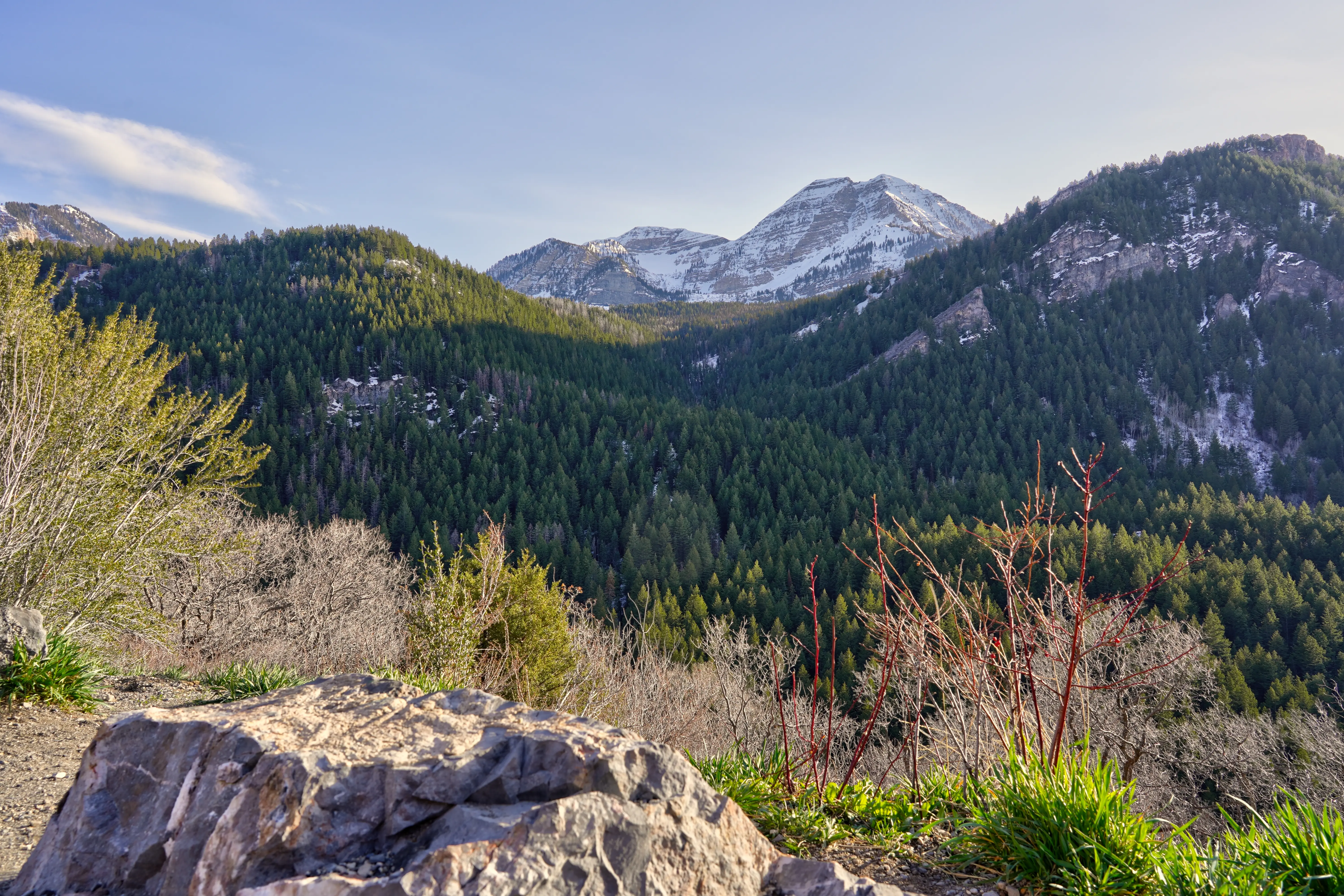 Outdoor image of the landscape scenery of Big Cottonwood Canyon.