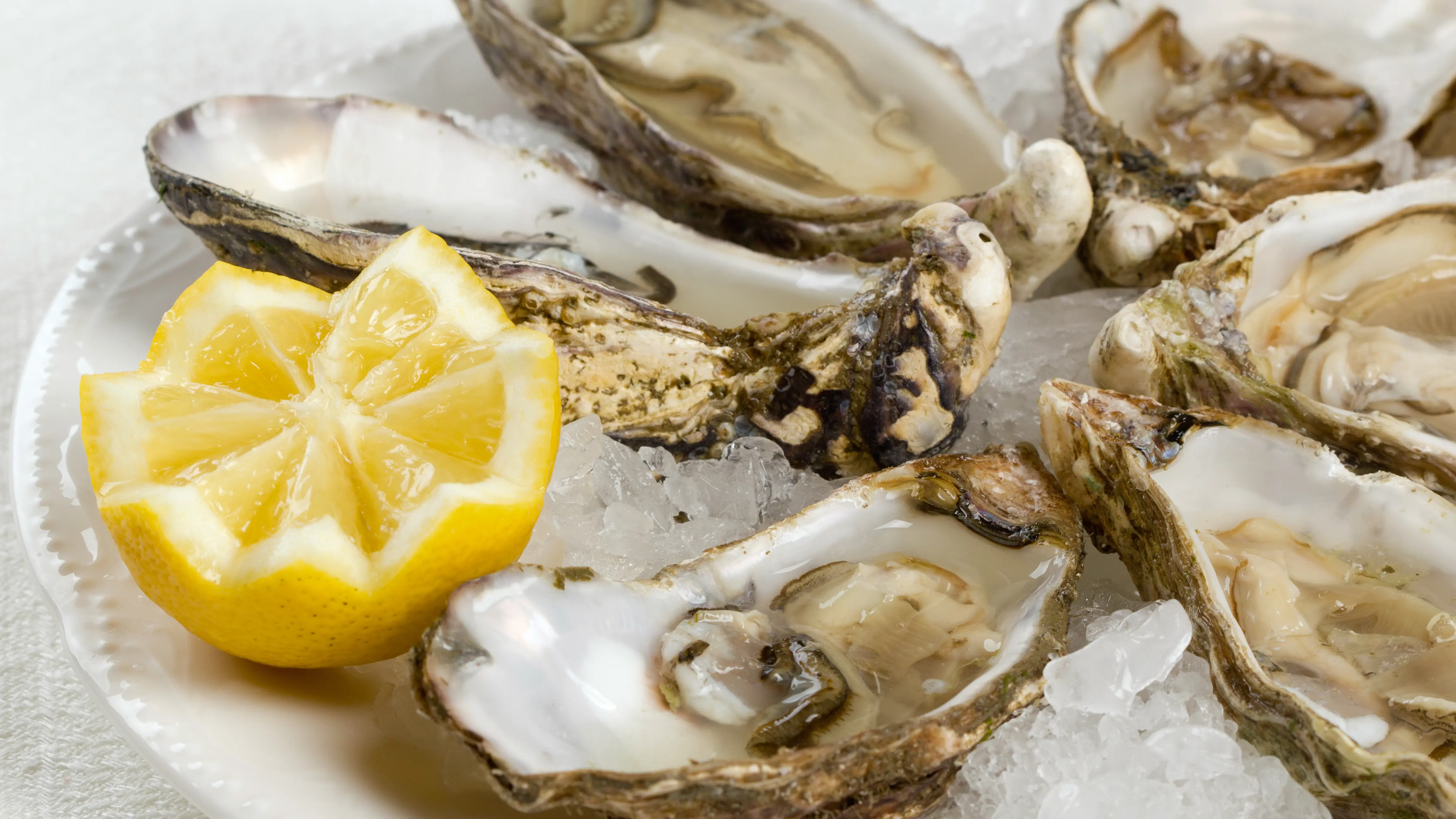 oysters, lemon