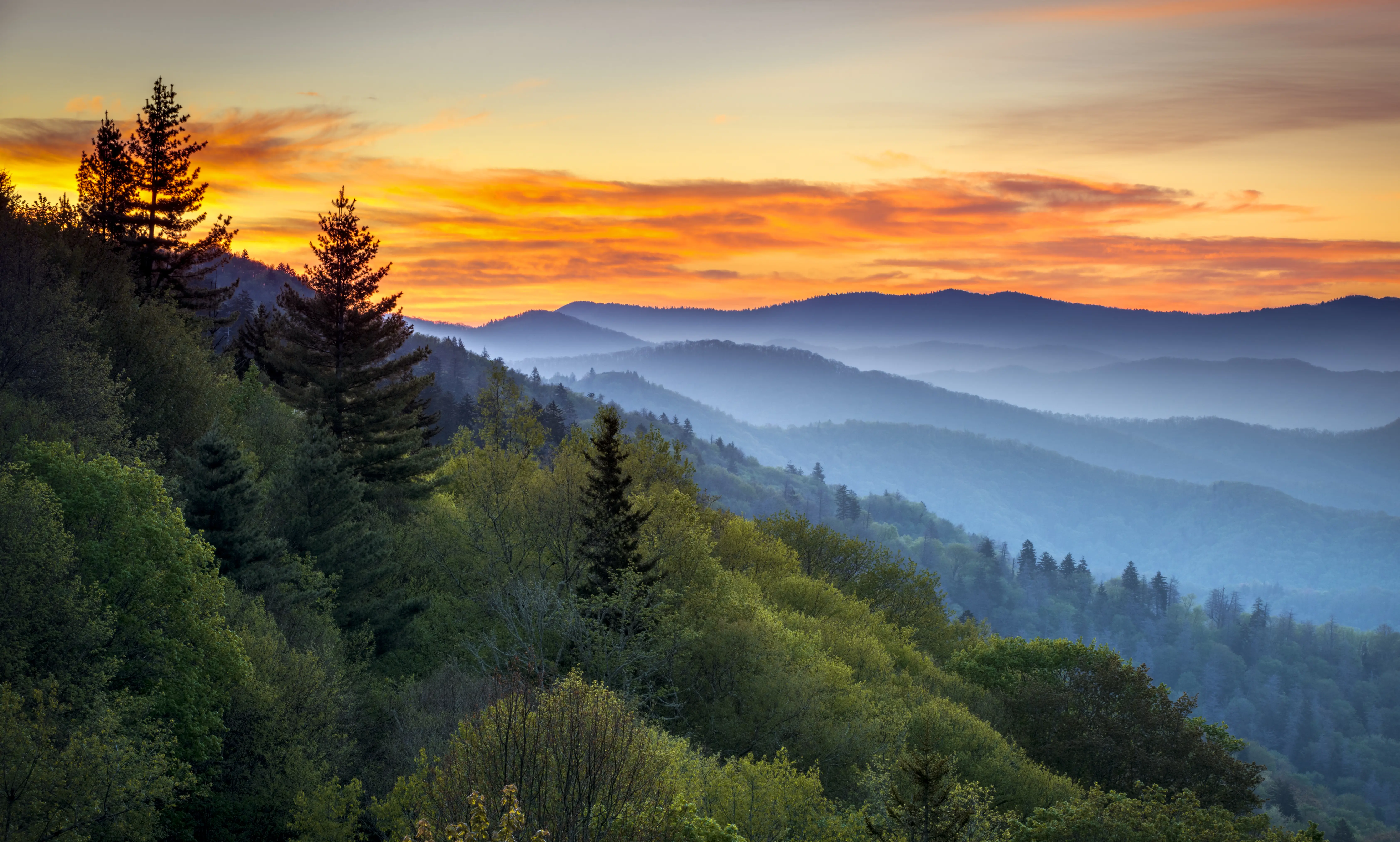 Tennessee, mountain, tree, landscape, natural, scenic, valley, sunset, nature, sky, color, forest, green