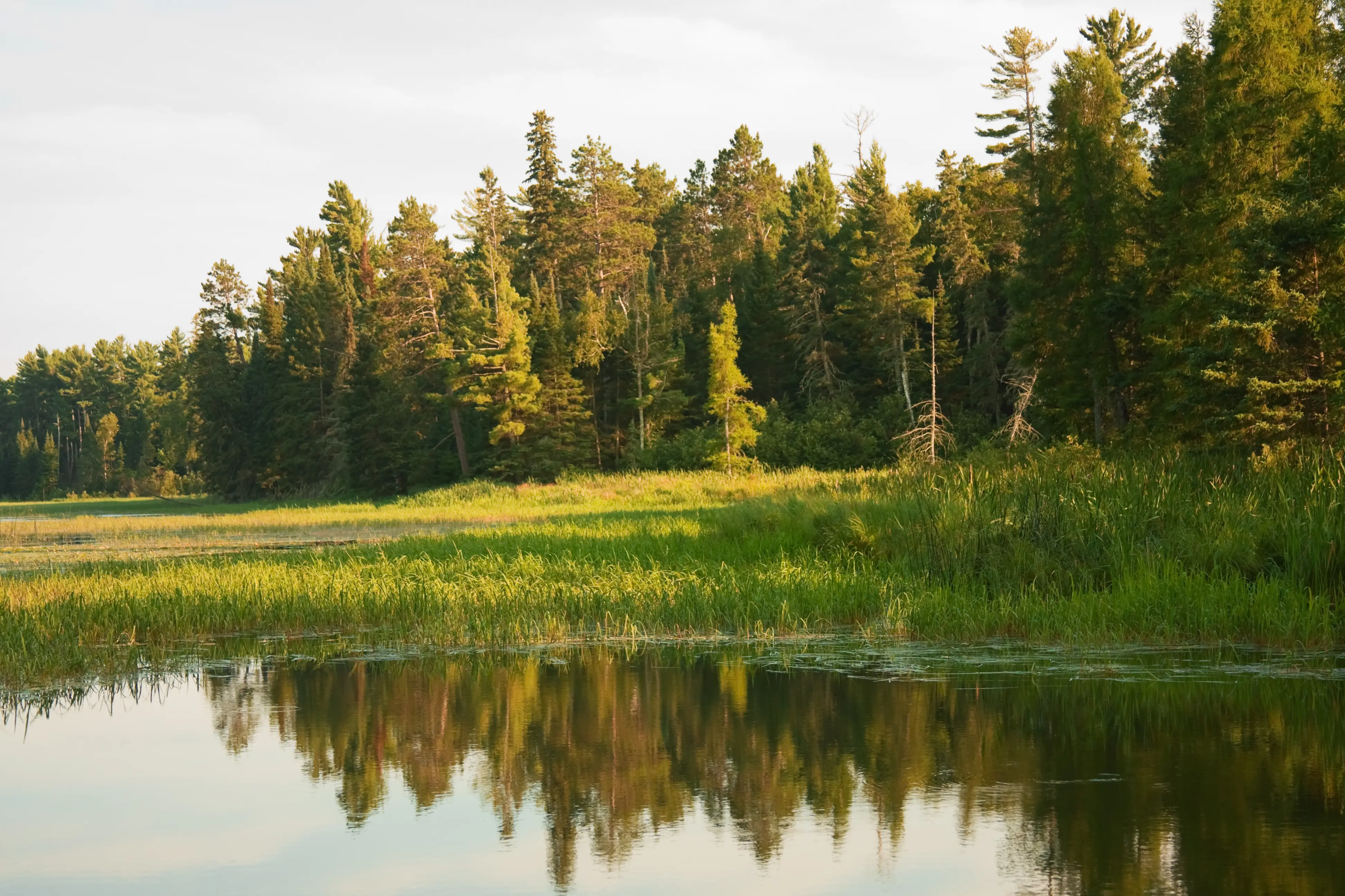 Image of dusk at Itasca State Park, Minnesota.