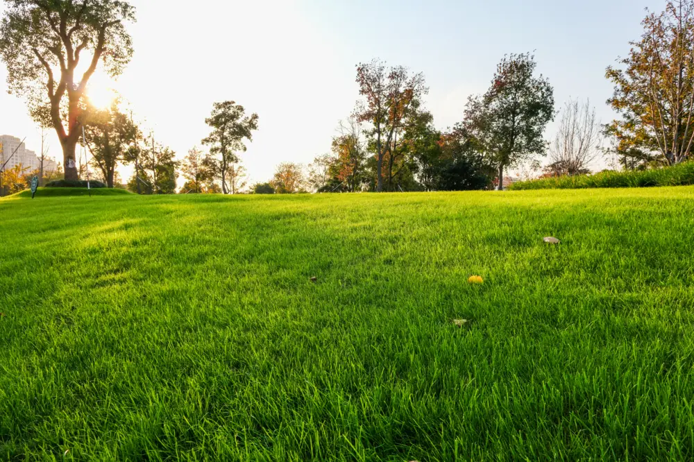 null