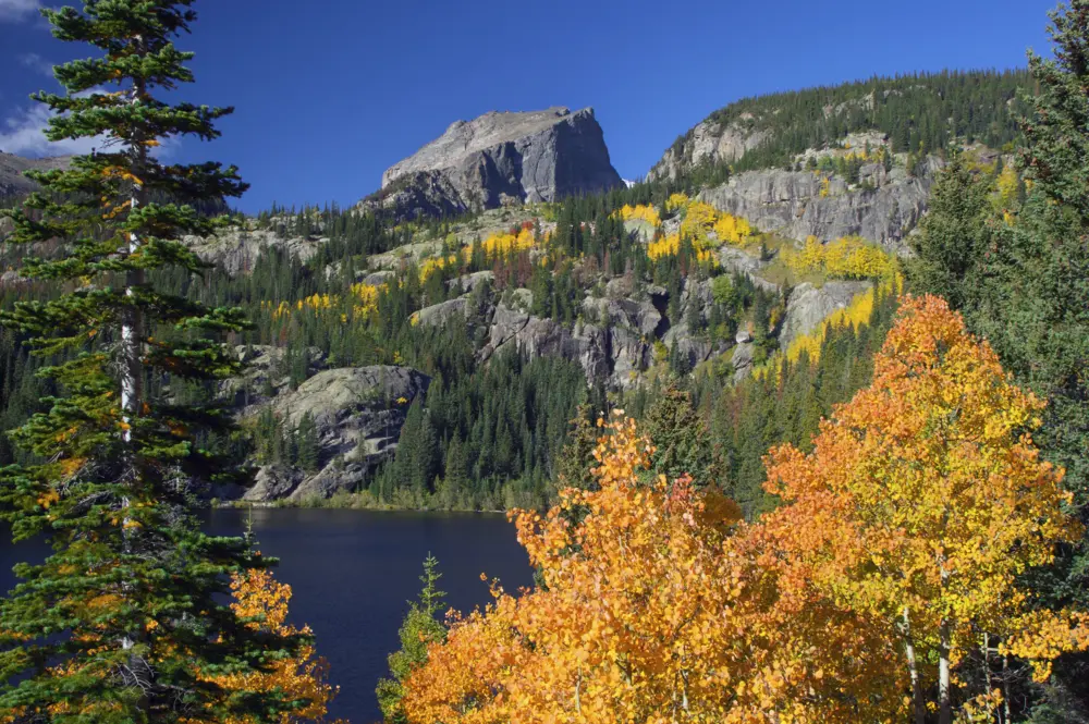 Fall foliage in Rocky Mountain National Park, Colorado.