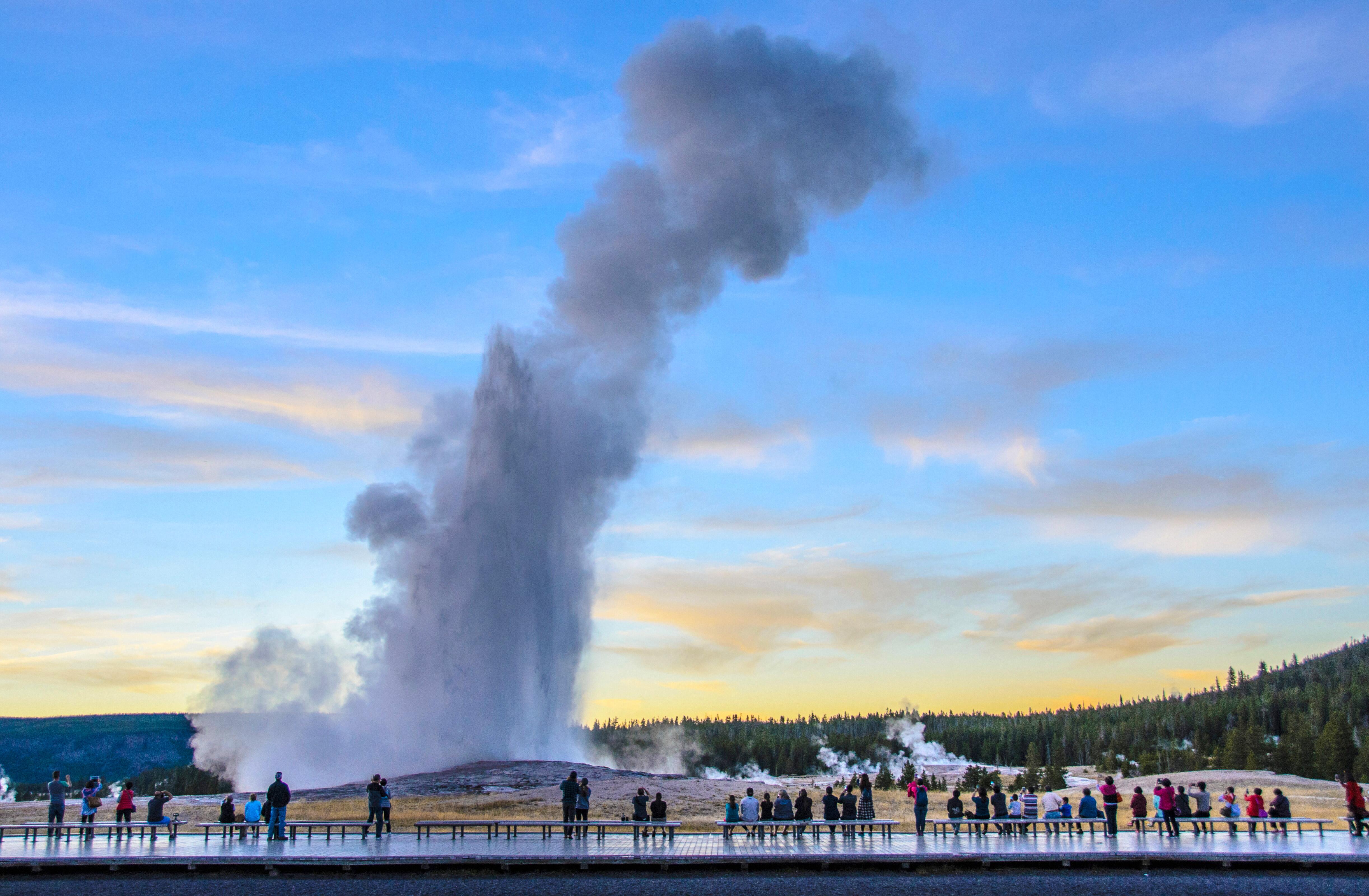 Group of people watching the eruption of Old Faithful geyser just after sunset on a clear autumn day in Yellowstone National Park
