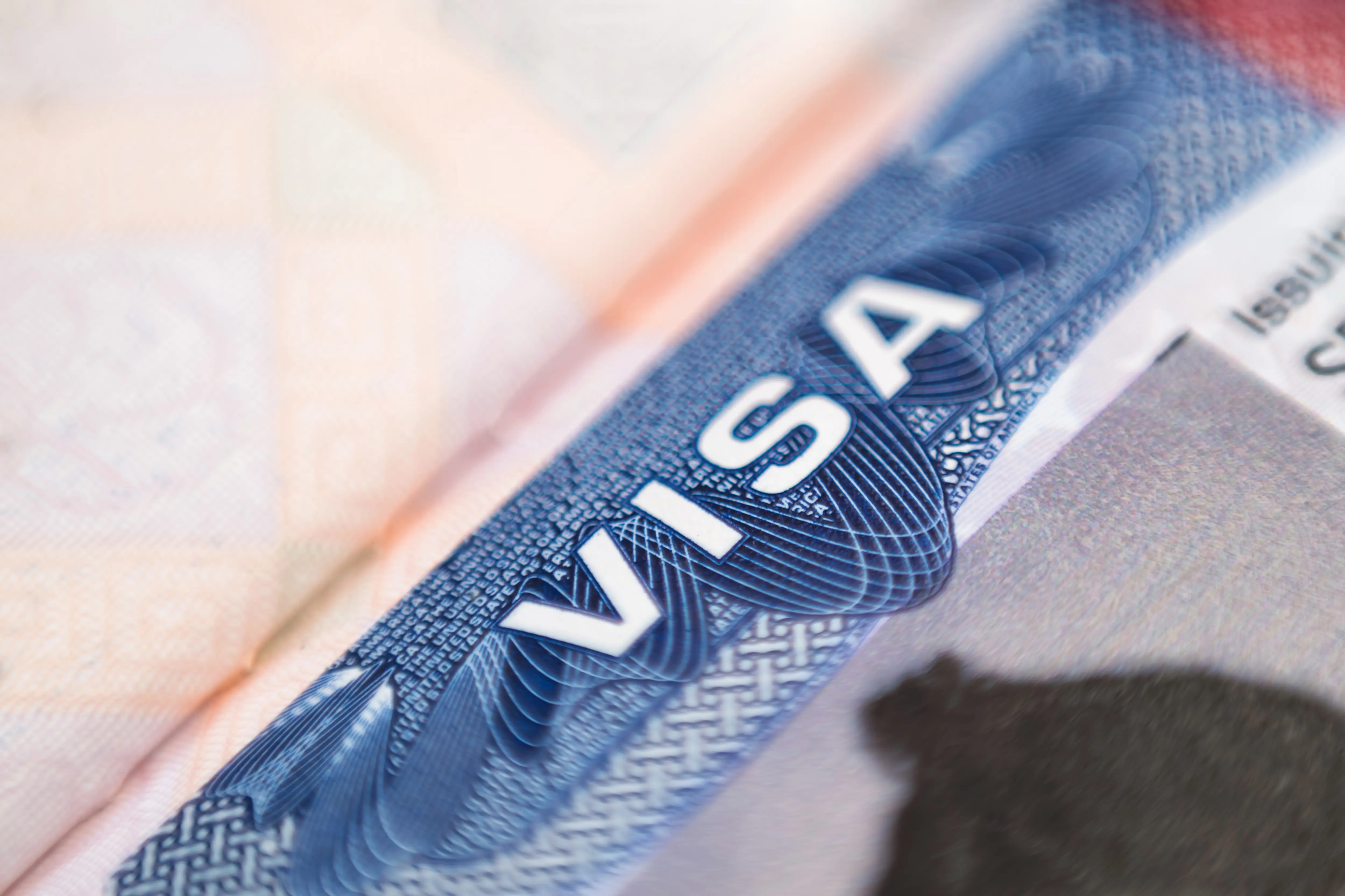 Visa for Travel