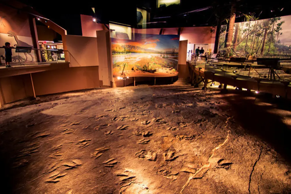 Exhibits and murals under geodesic dome at Dinosaur State Park in Rocky Hill, Connecticut