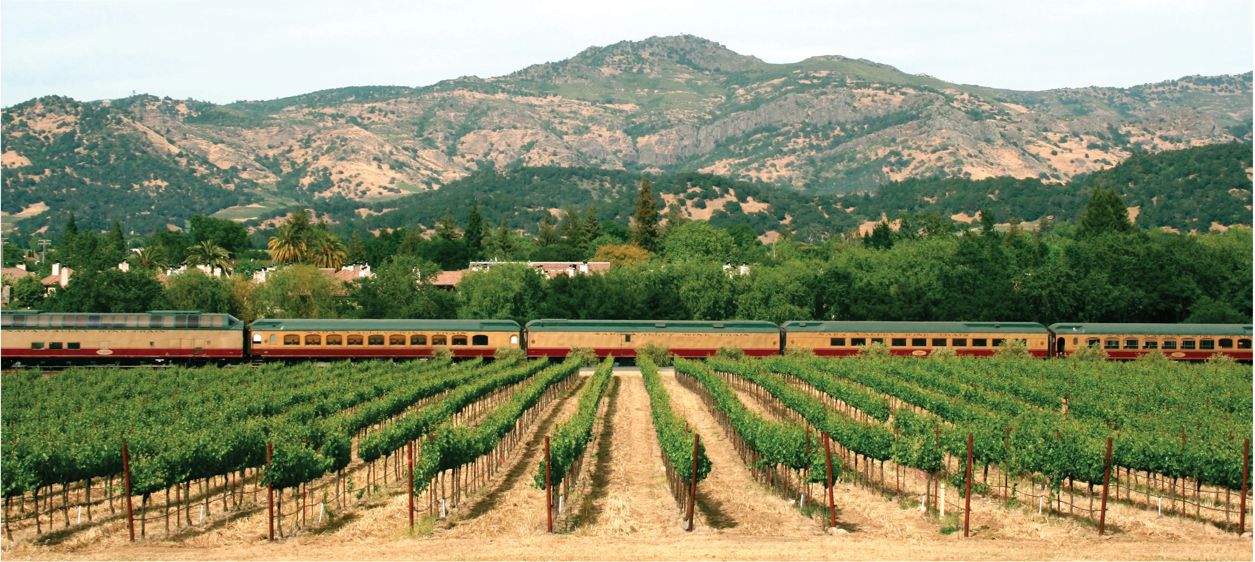 The Napa Valley Wine Train passing through a vineyard.