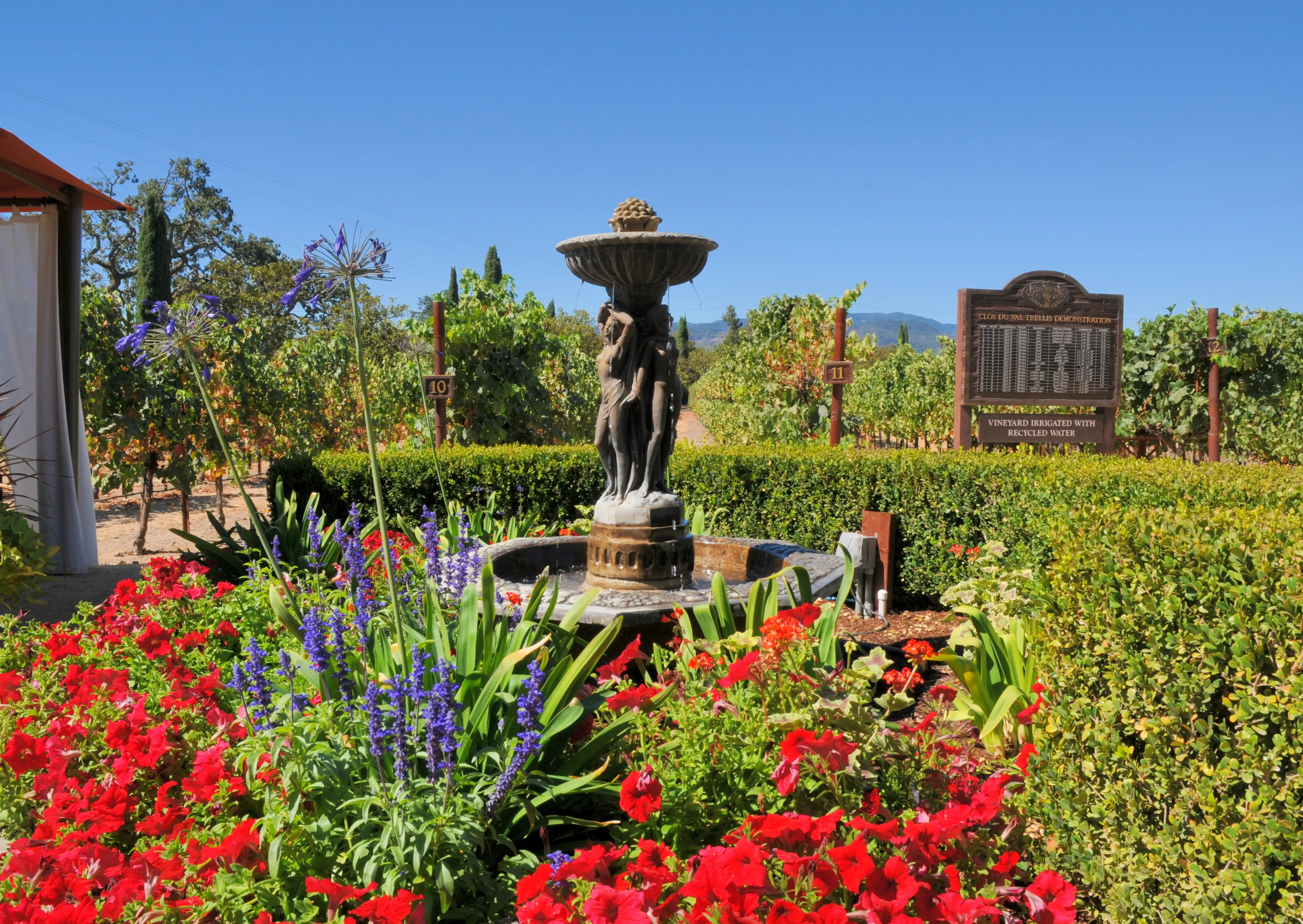 Image of the scenic grounds and vineyards of Clos Du Val winery in Napa, California.