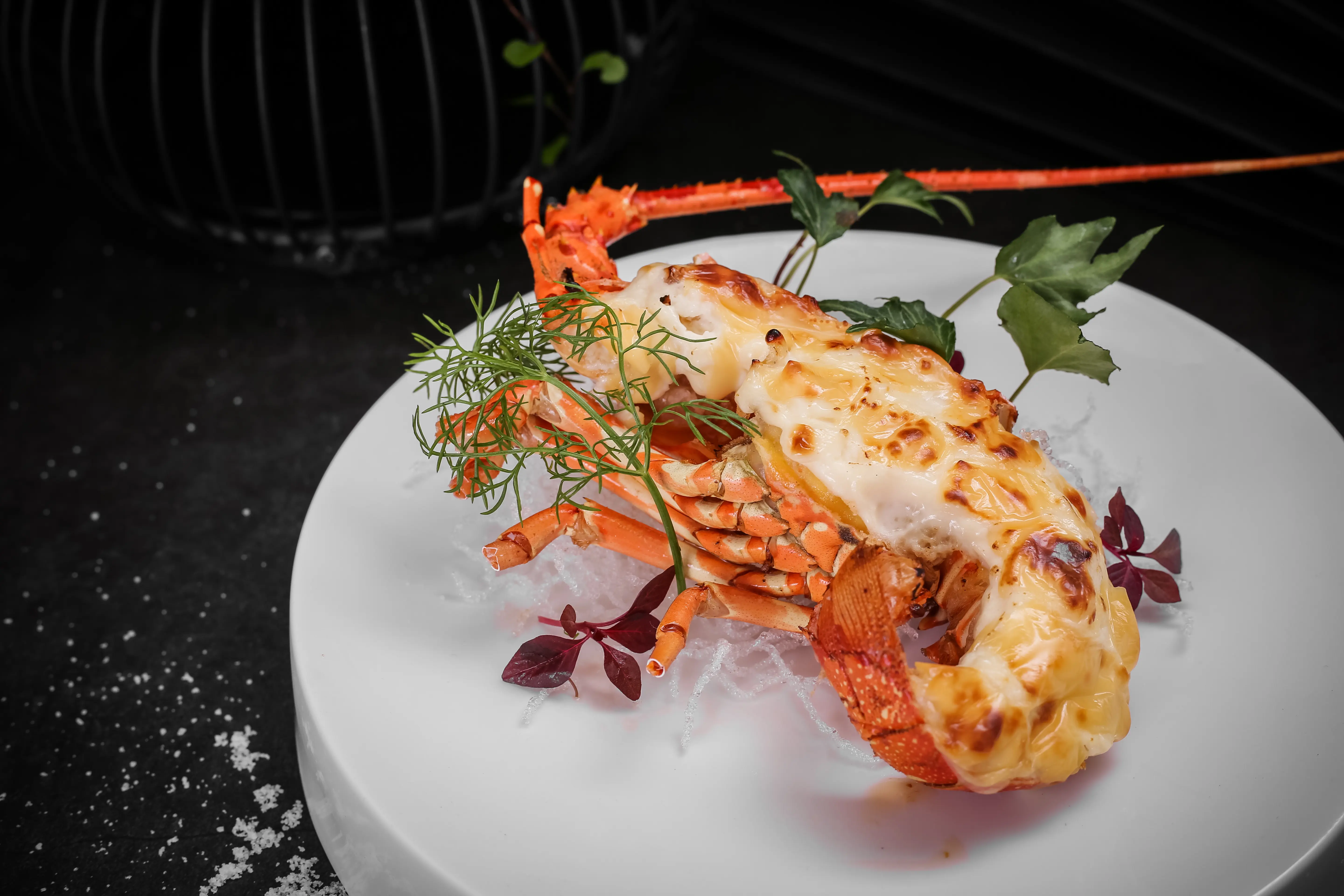 Closeup image of a finely prepared dish of Lobster thermidor.