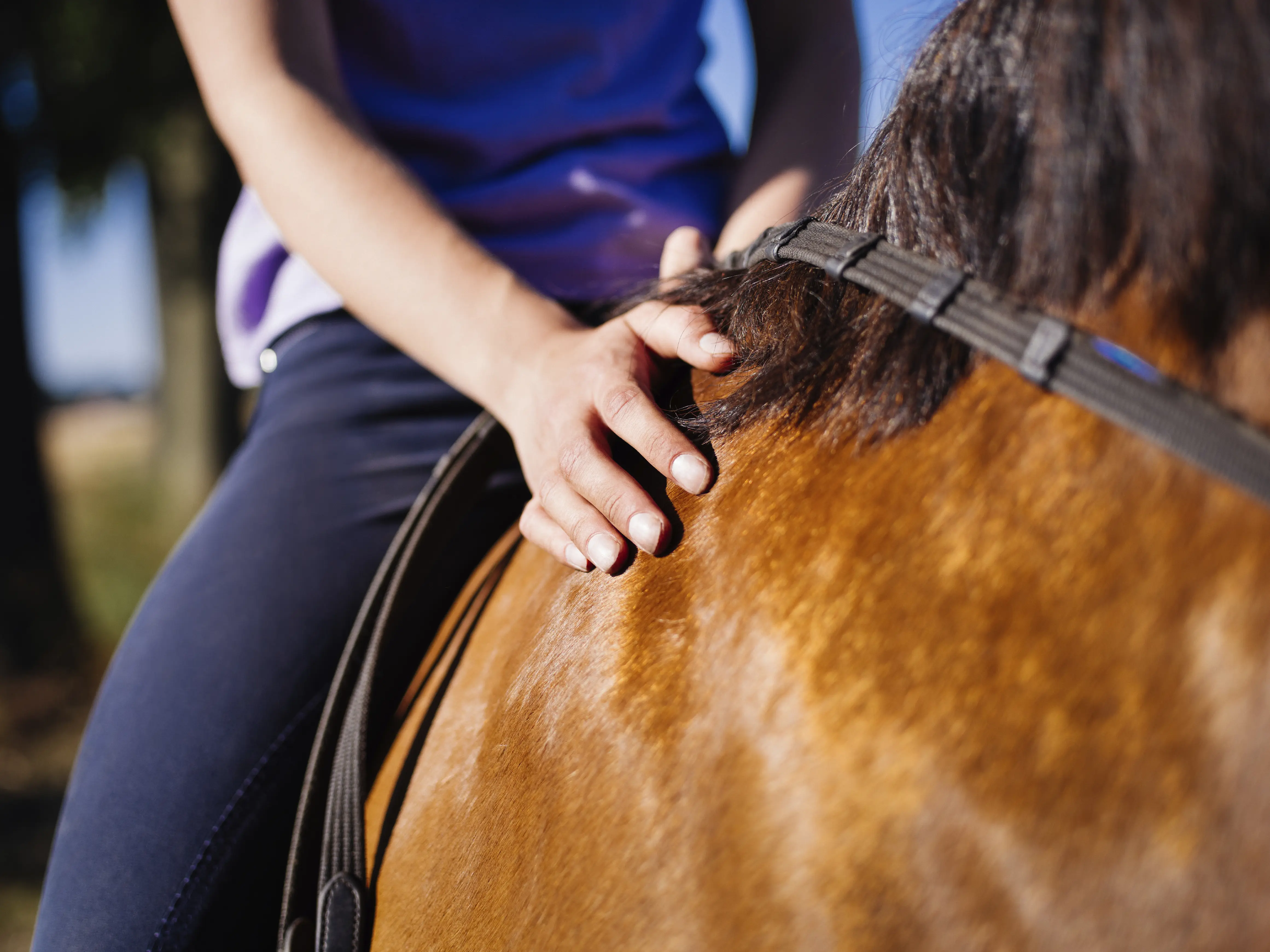 Horseback riding