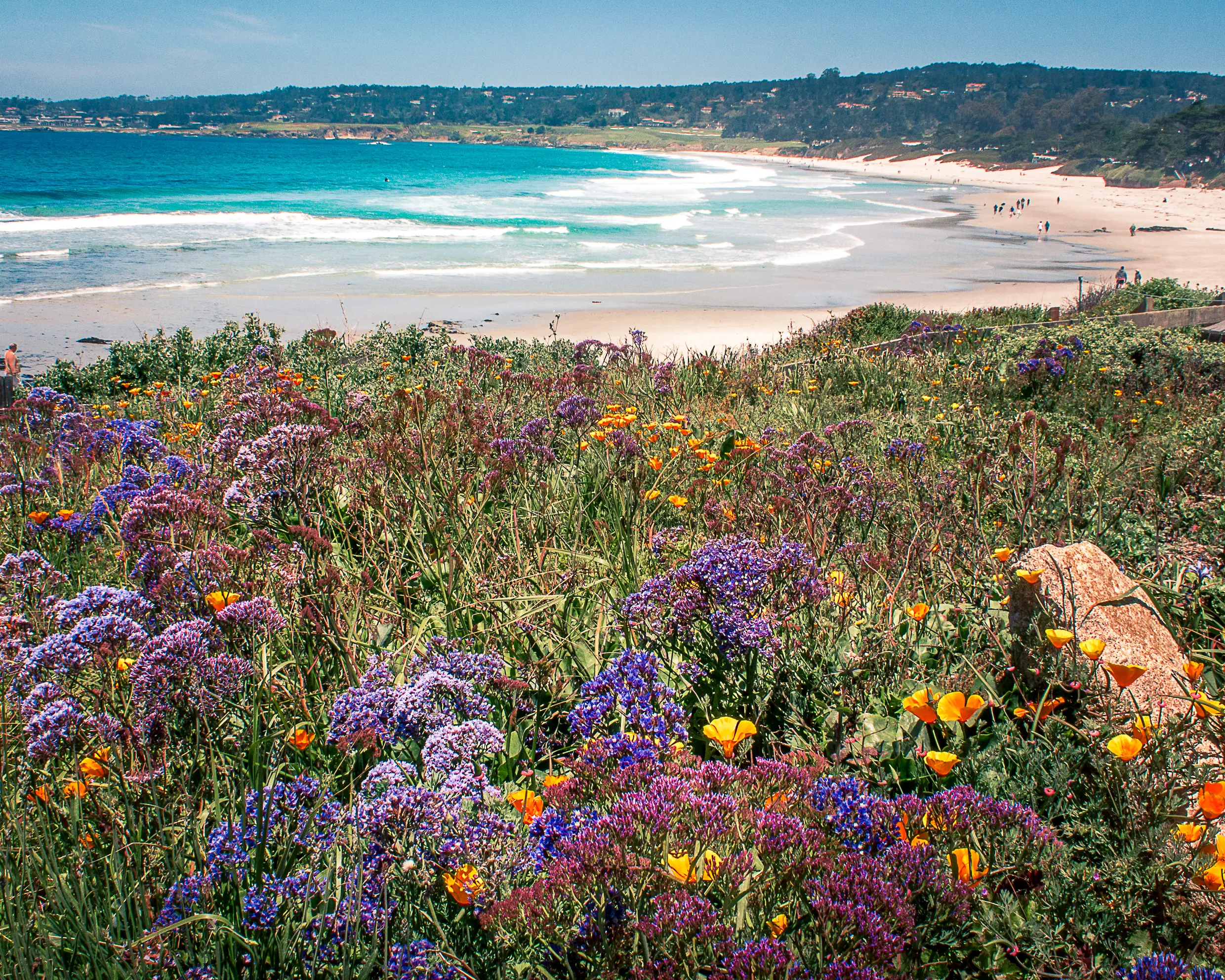 Outdoor image of the shoreline scenery at Carmel Beach, California