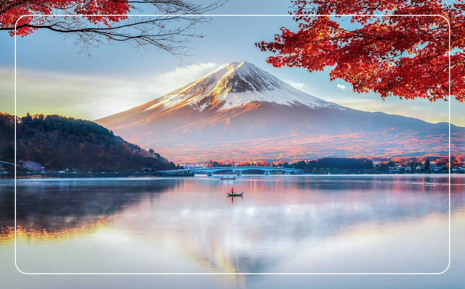 Cherry blossoms frame the view of Sakura and Mount Fuji in the background.