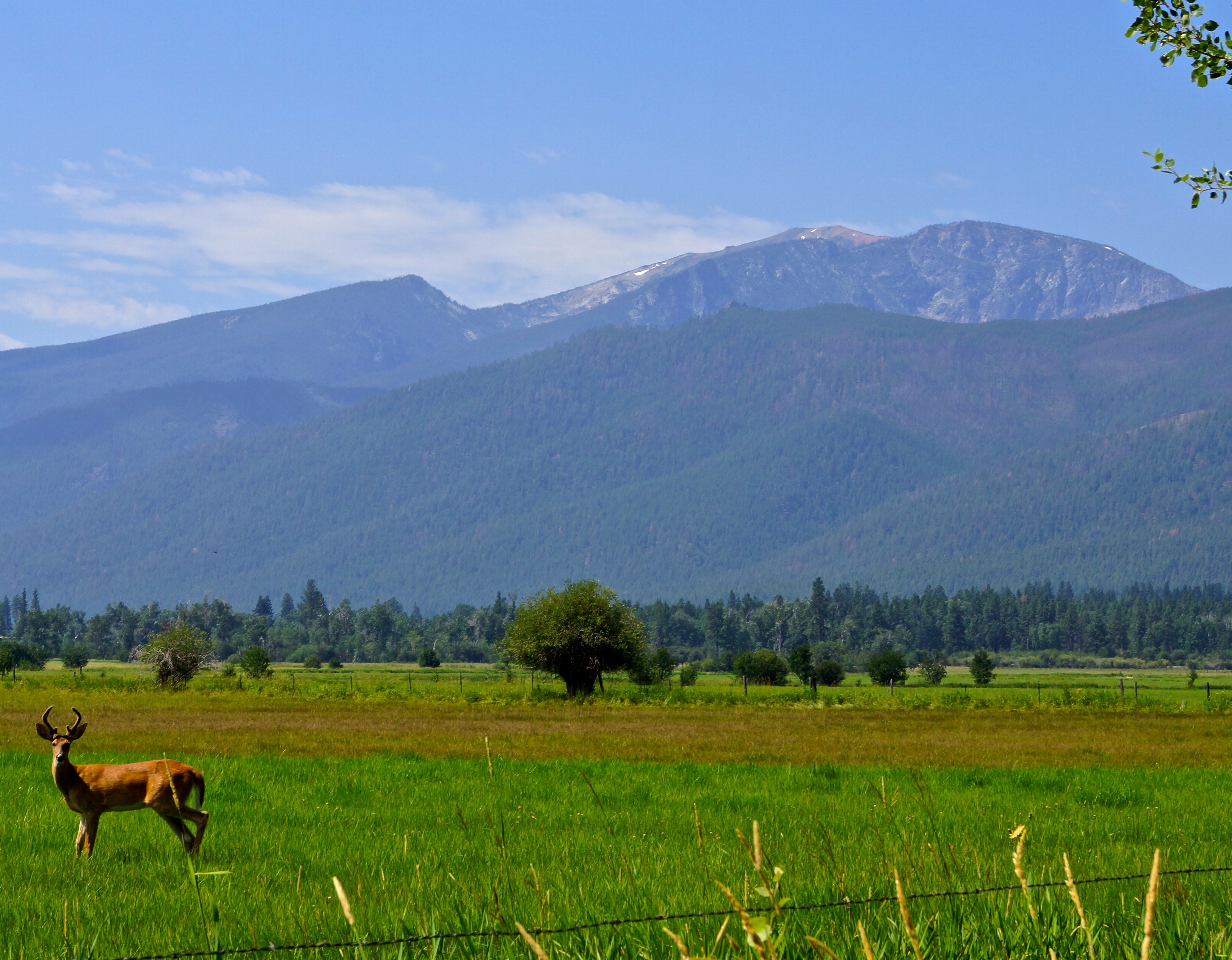 Bitterroot Valley Scenic Highway Road Trip