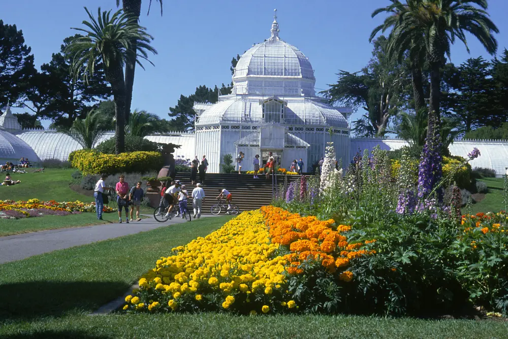 Visitors exploring Golden Gate Park