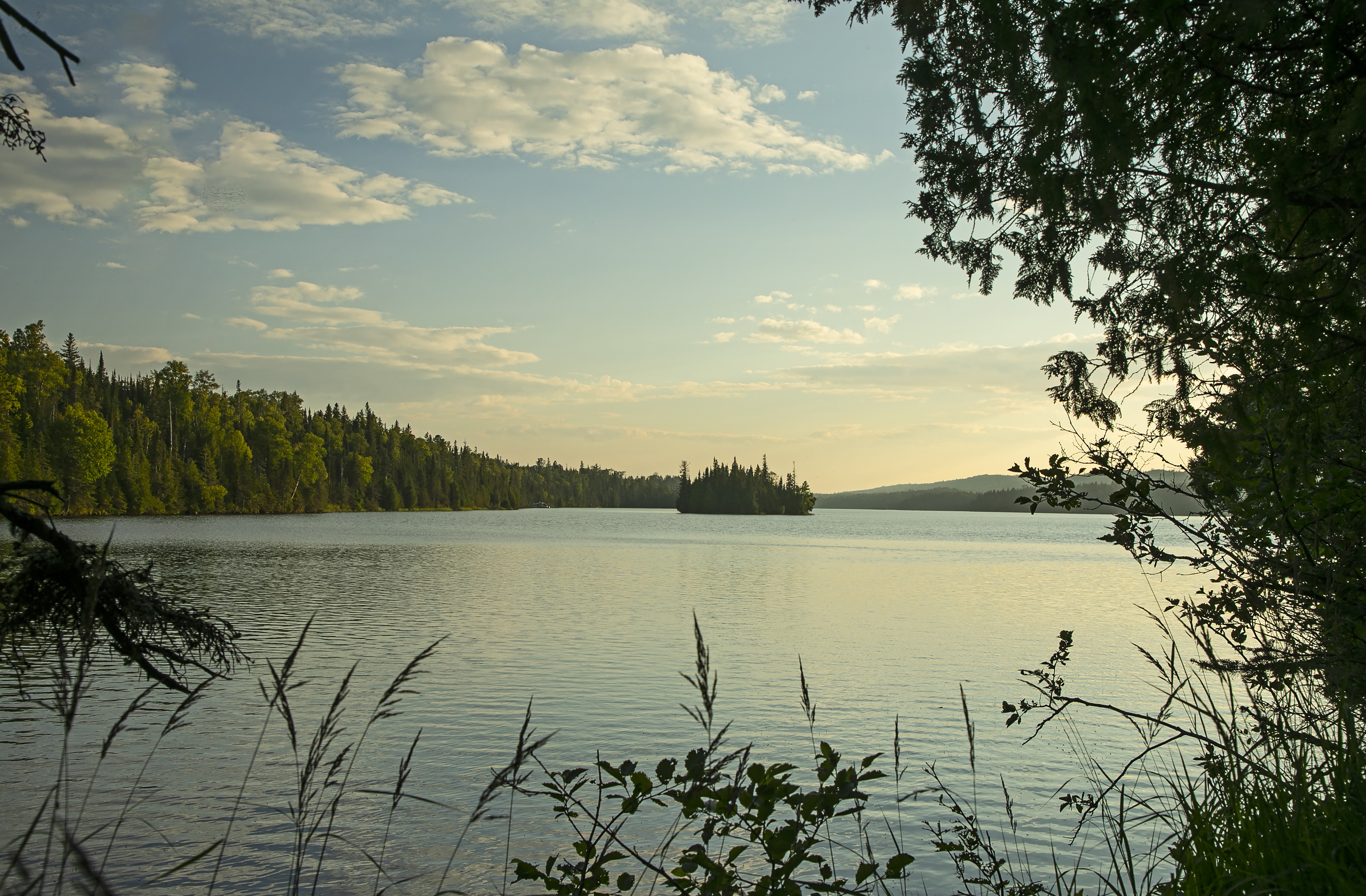 Image of the woodland lake scenery in Michigan.