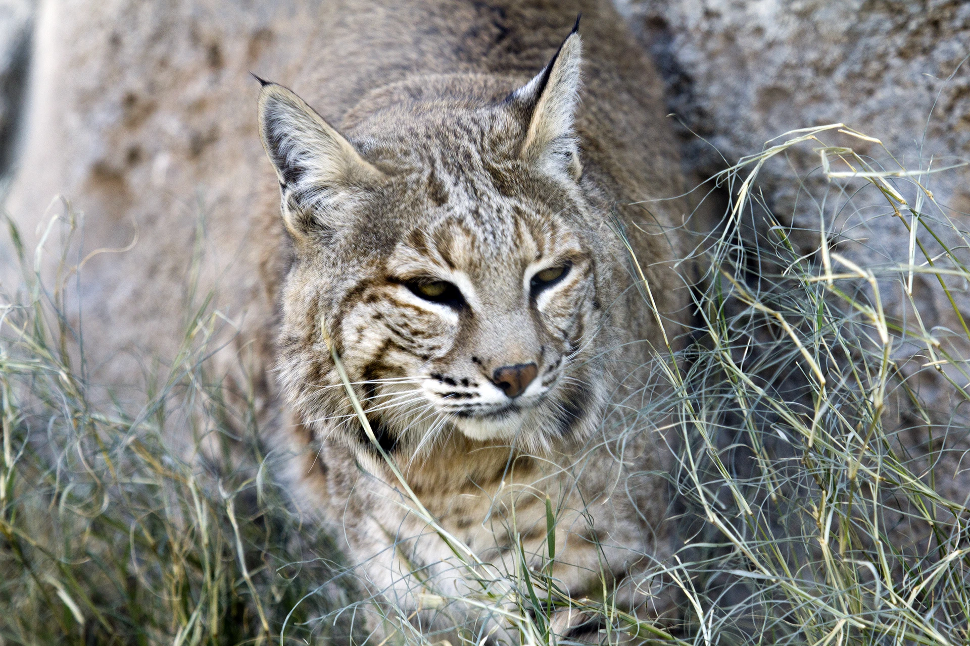 Trail of the Mountain Spirits Scenic Byway, SR-35 Road Trip