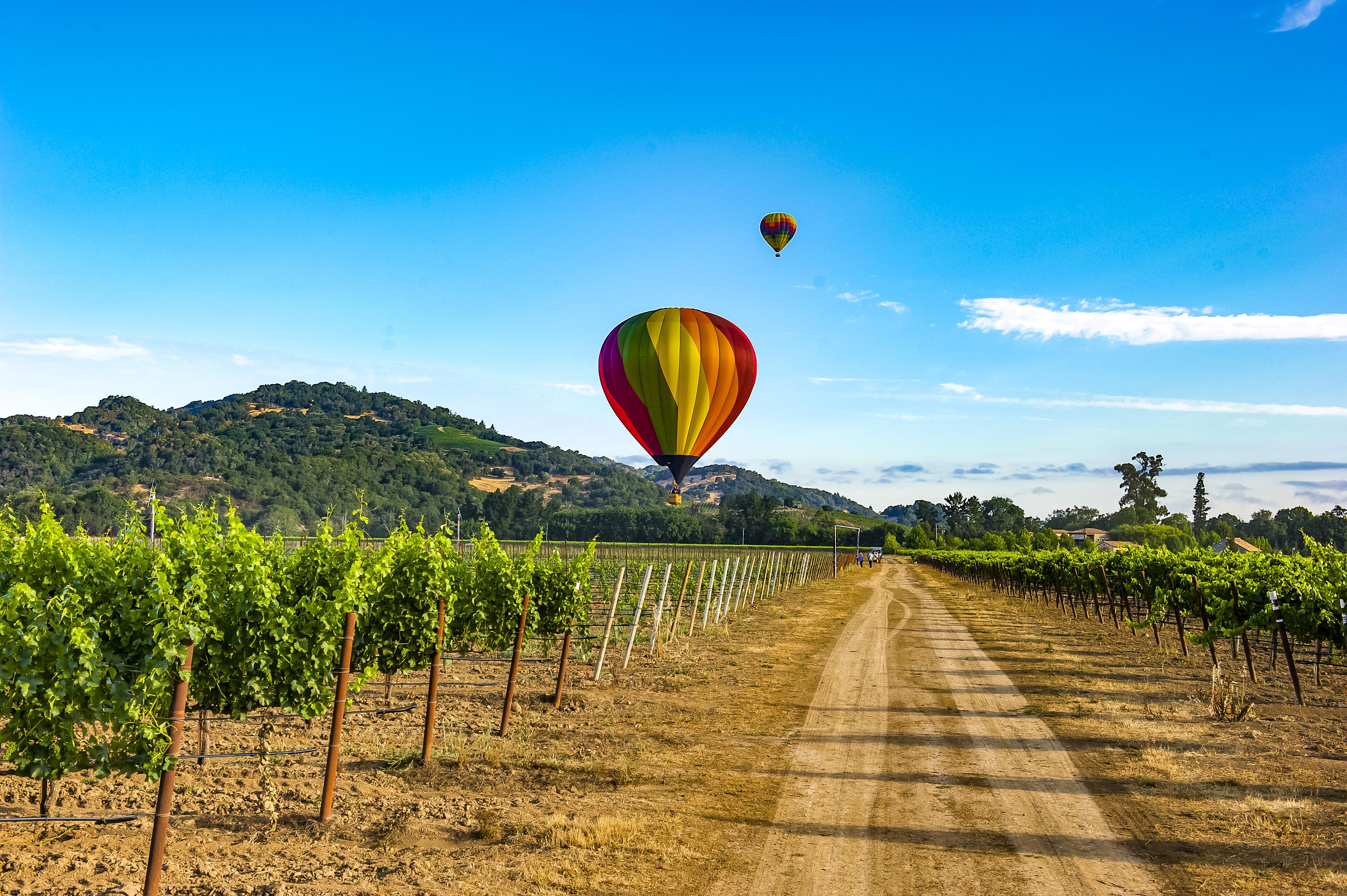 Image of hot air balloons flying over Napa Valley, California.