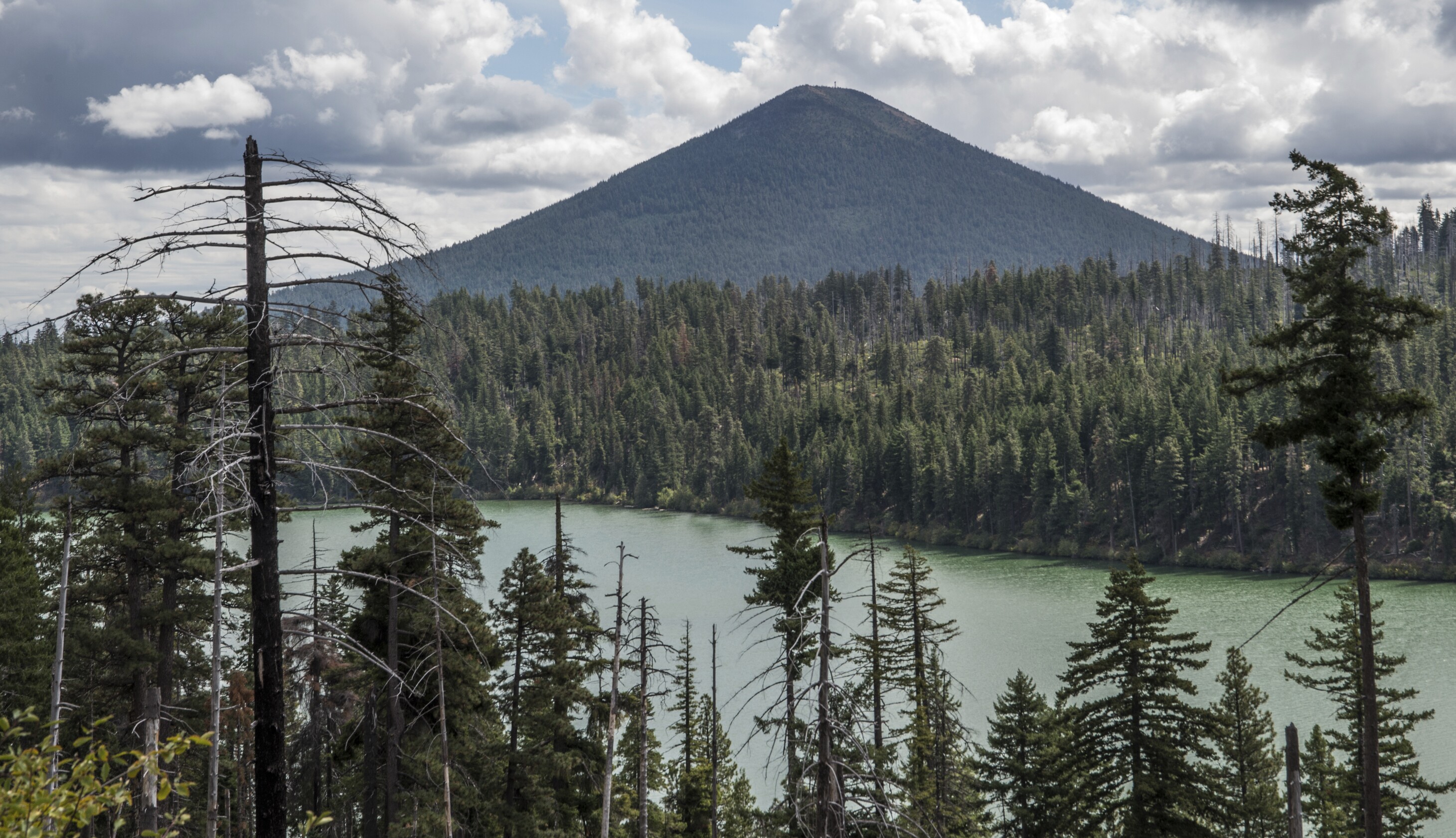 McKenzie-Santiam Pass Scenic Loop, Route 126 Road Trip