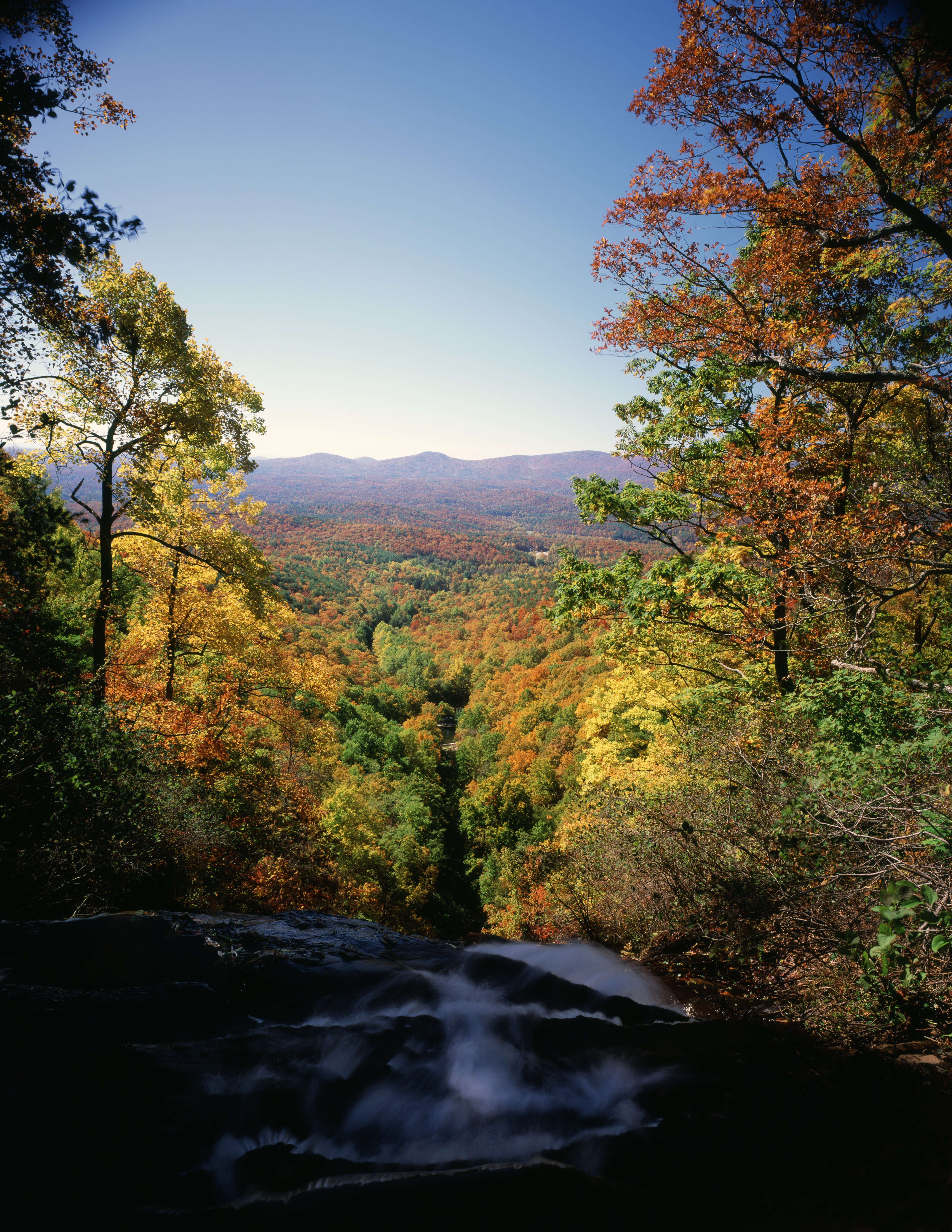 Image of the view into the valley from Amicalola Falls.