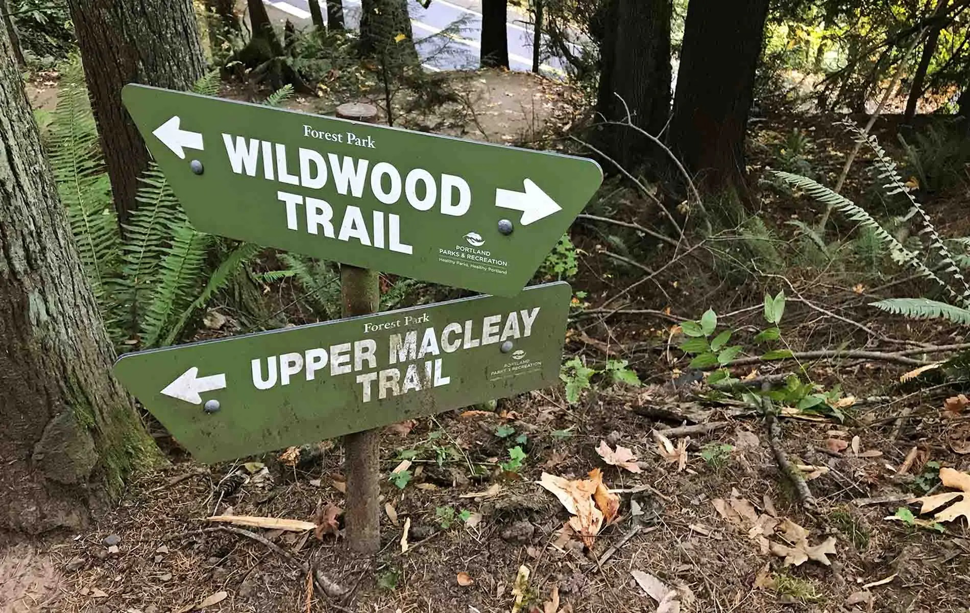Two directional trail signs on a trail in Forest Park