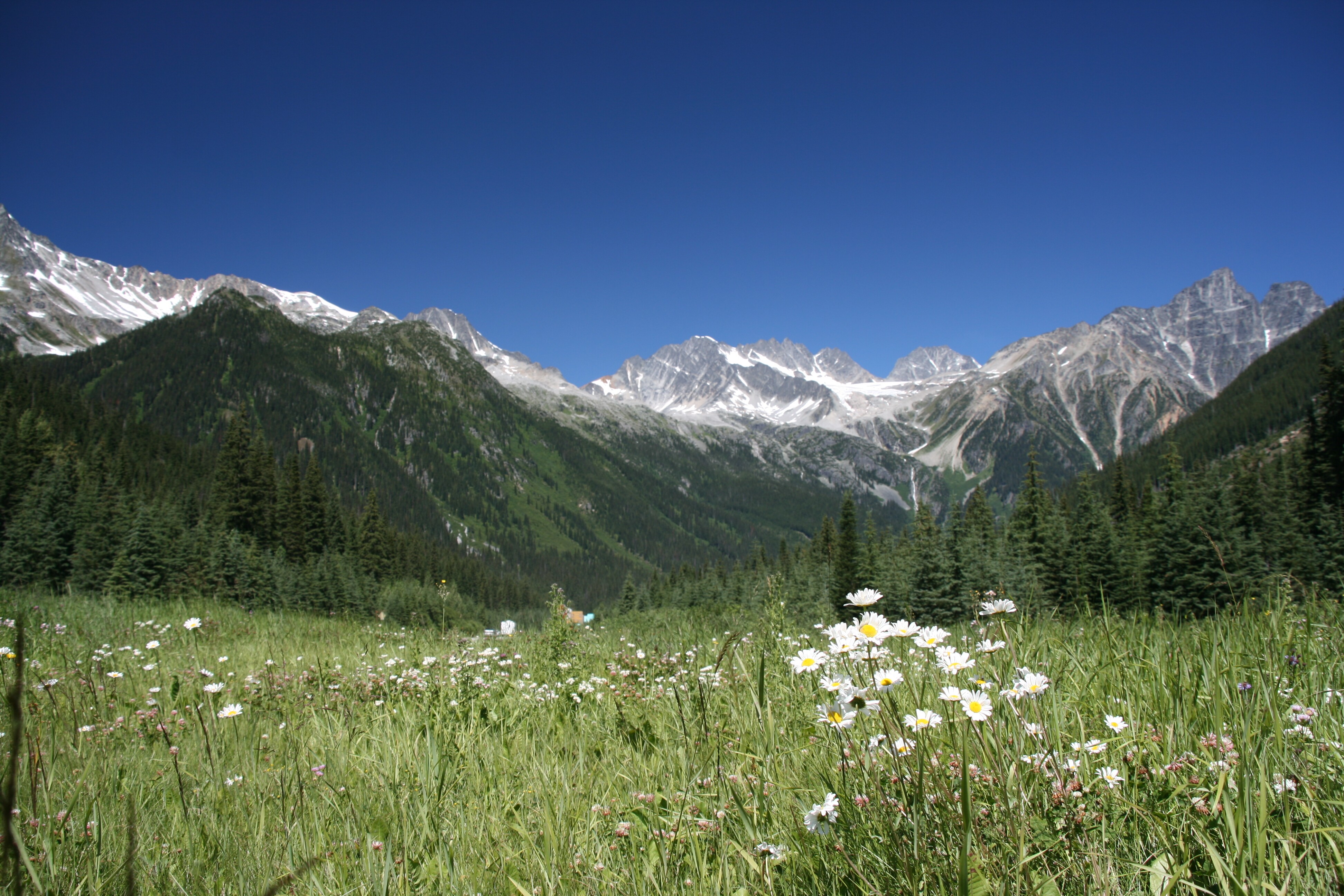 British Columbia's Scenic Trans Canada Hwy 1, Cache Creek to Alberta Border Road Trip